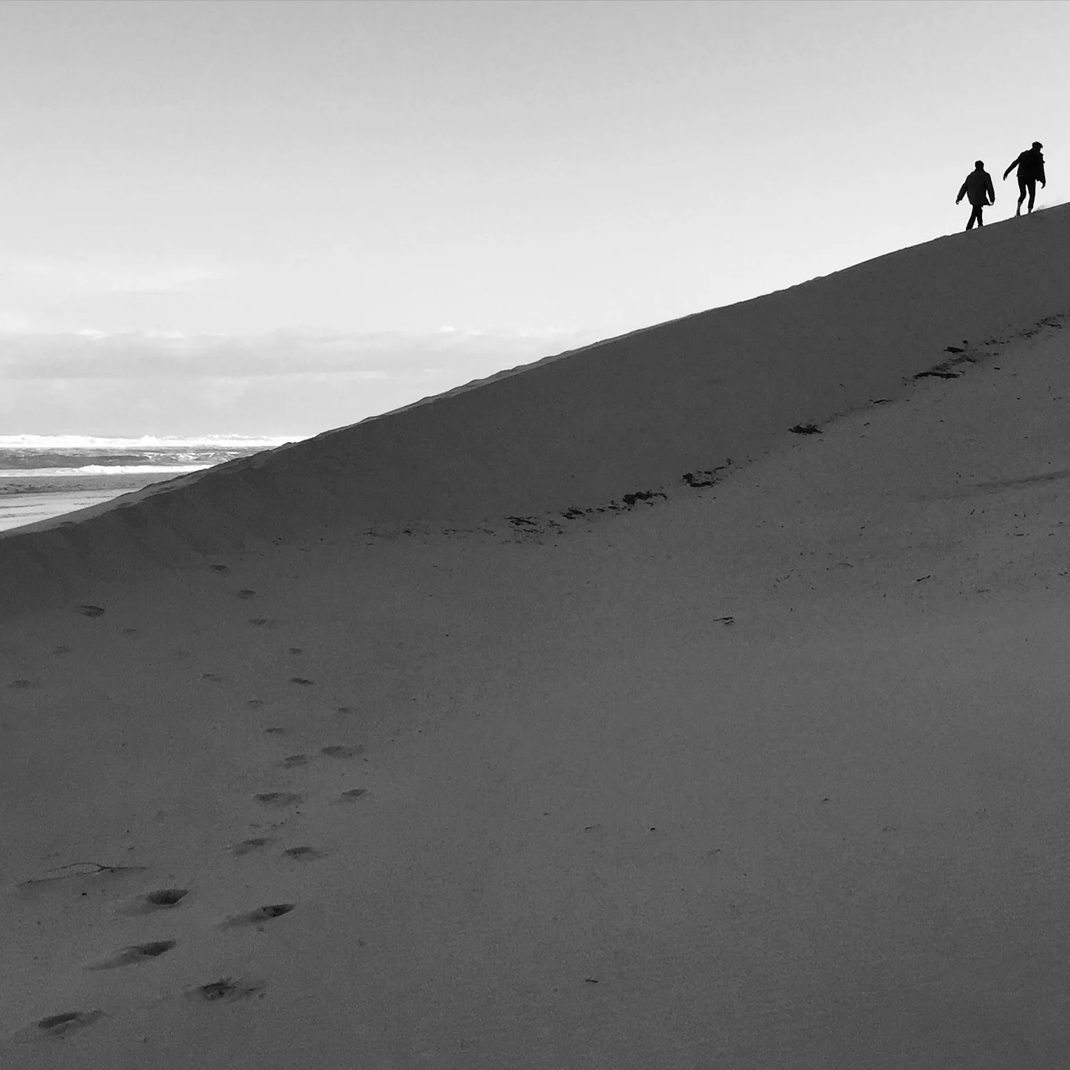 WILD COAST / SA