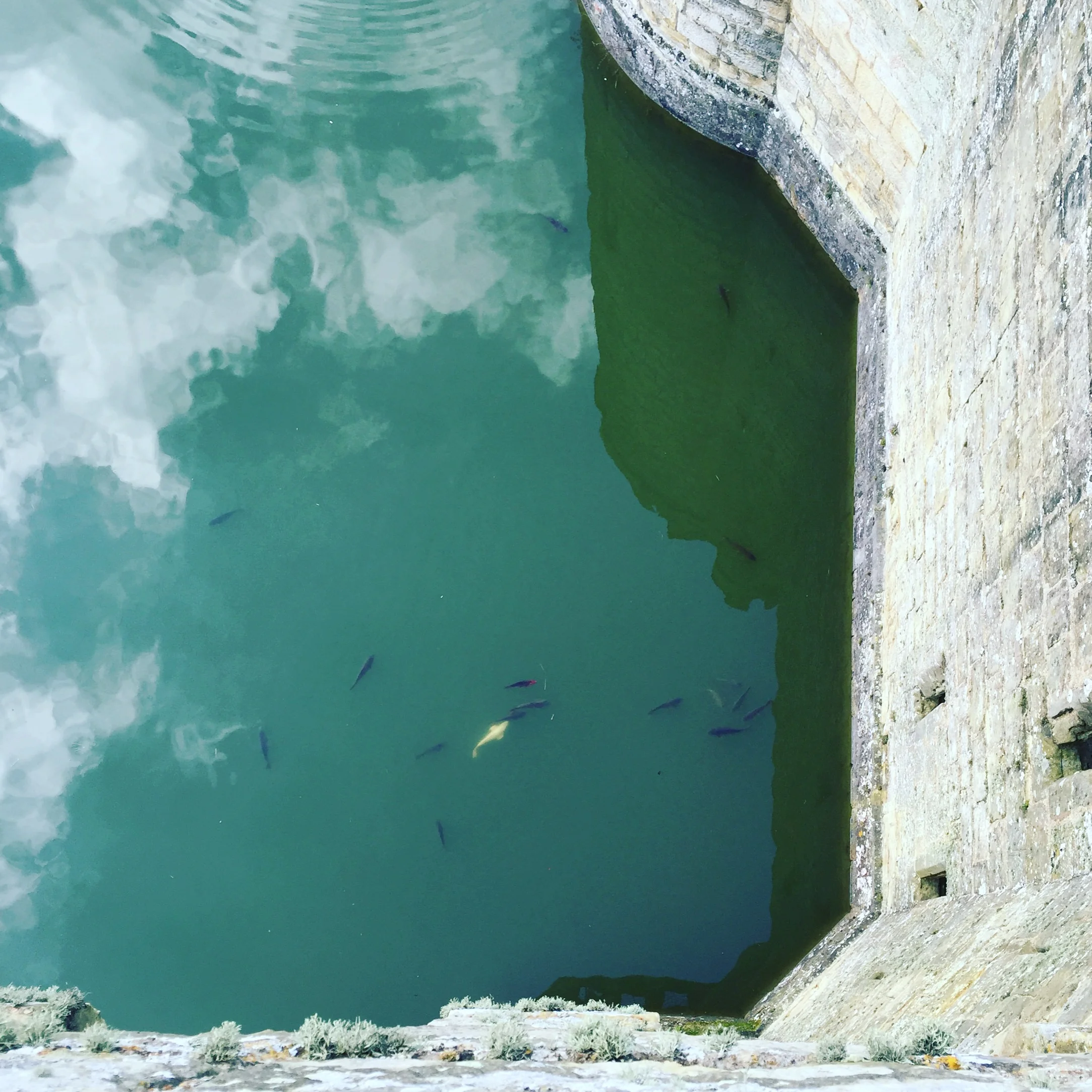 BODIAM CASTLE / SUSSEX