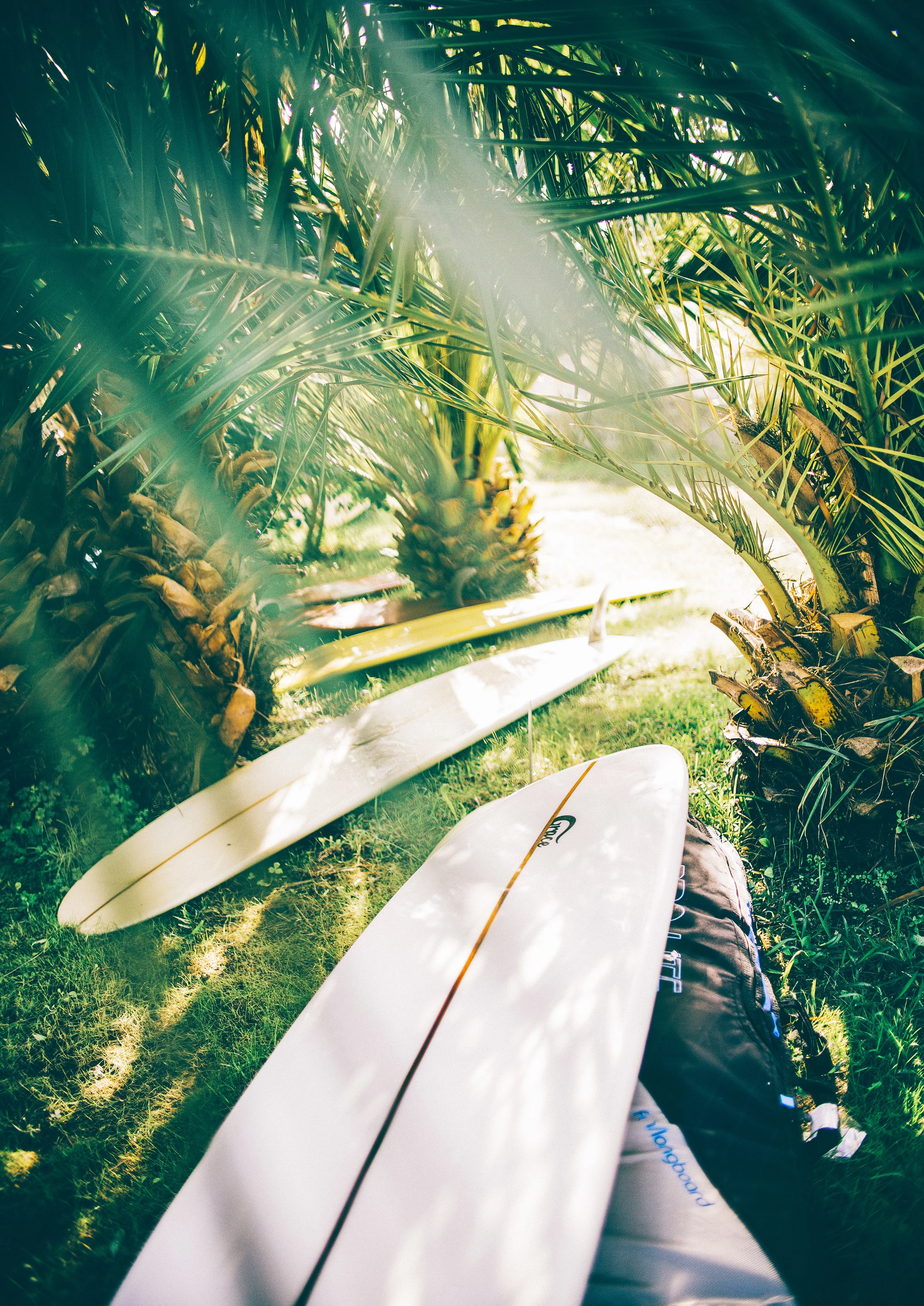 4J1A6660 (kopia)_2 (1).JPG