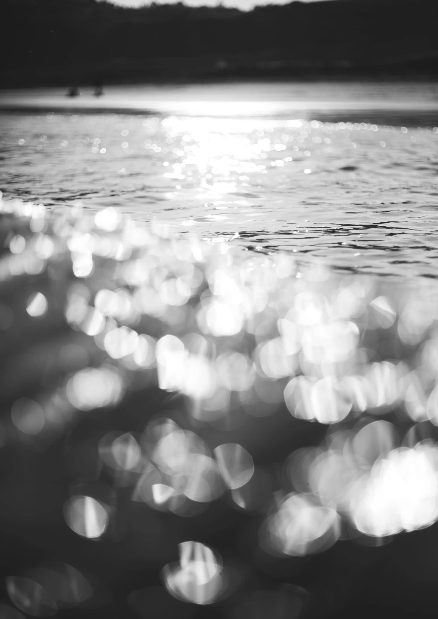 4J1A8353-2 (kopia).jpg