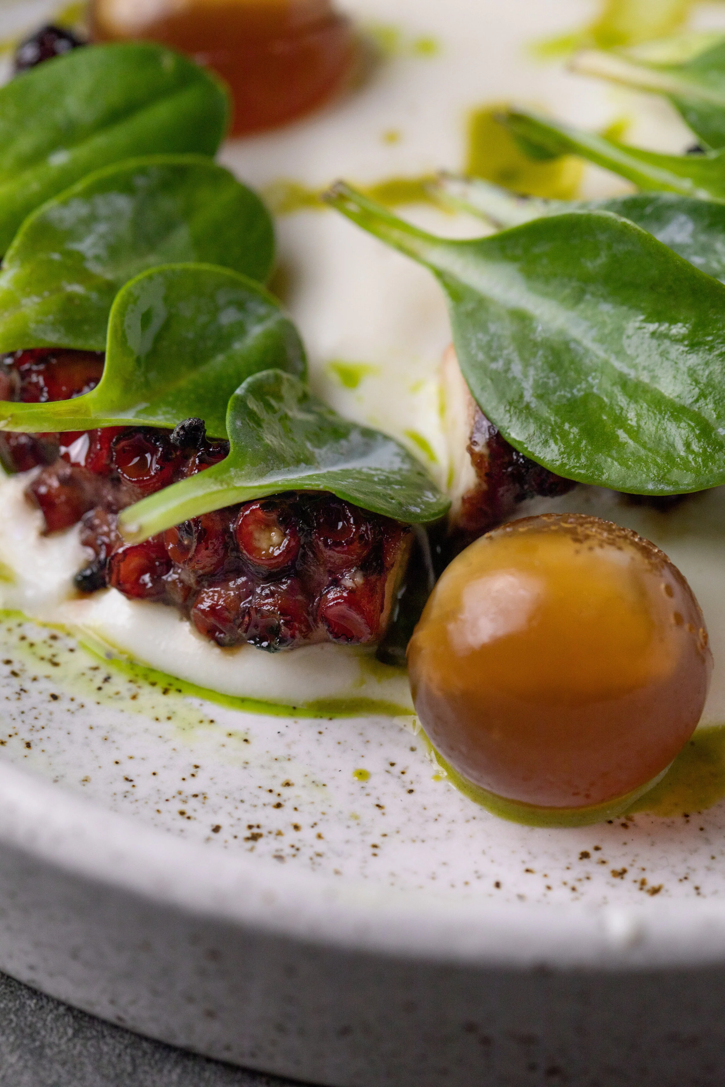 BK_Food_Chargrilled Octopus_FM_190823_2.jpg