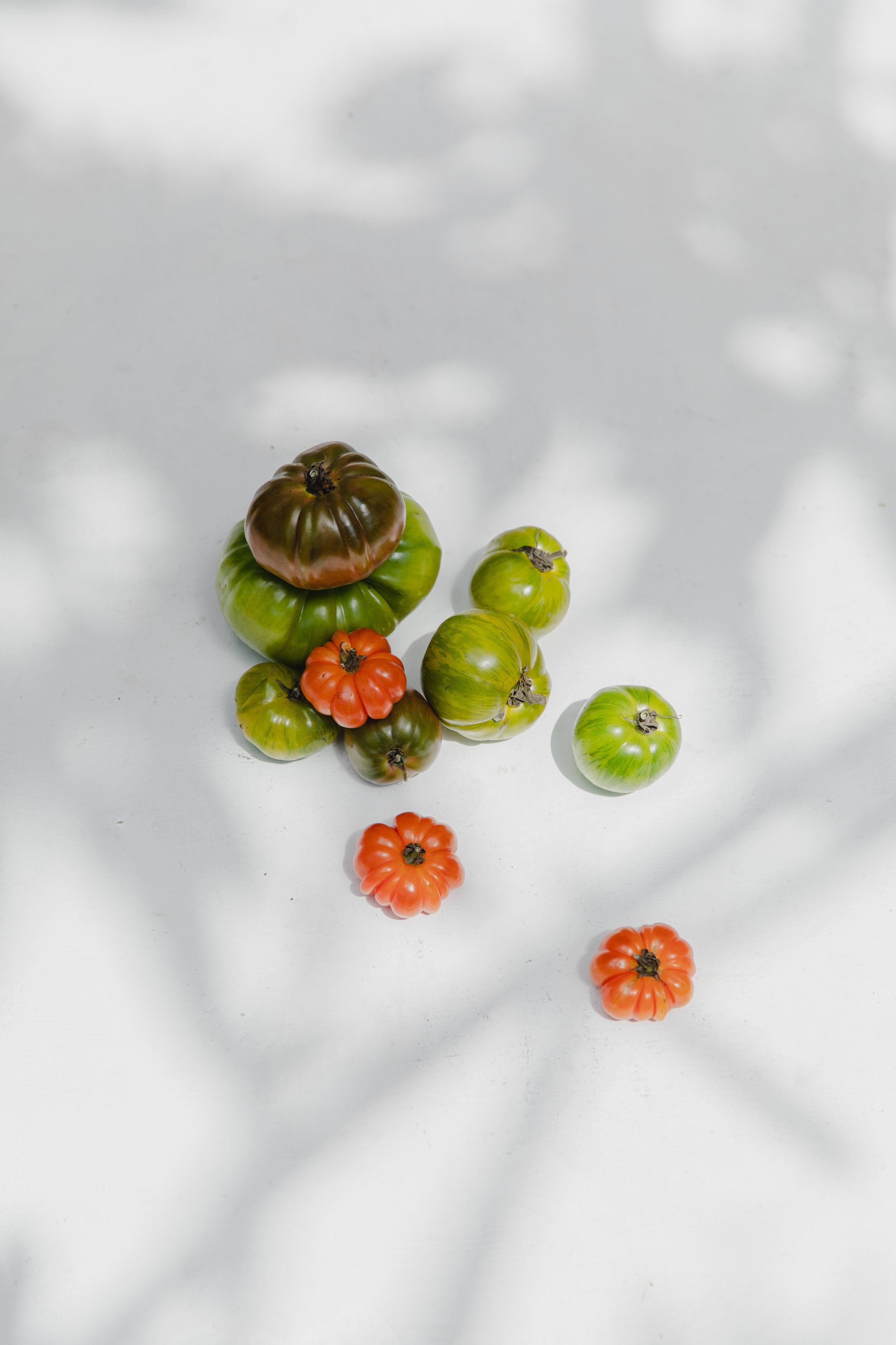 FK_Ingredients_FM_190823_26.jpg