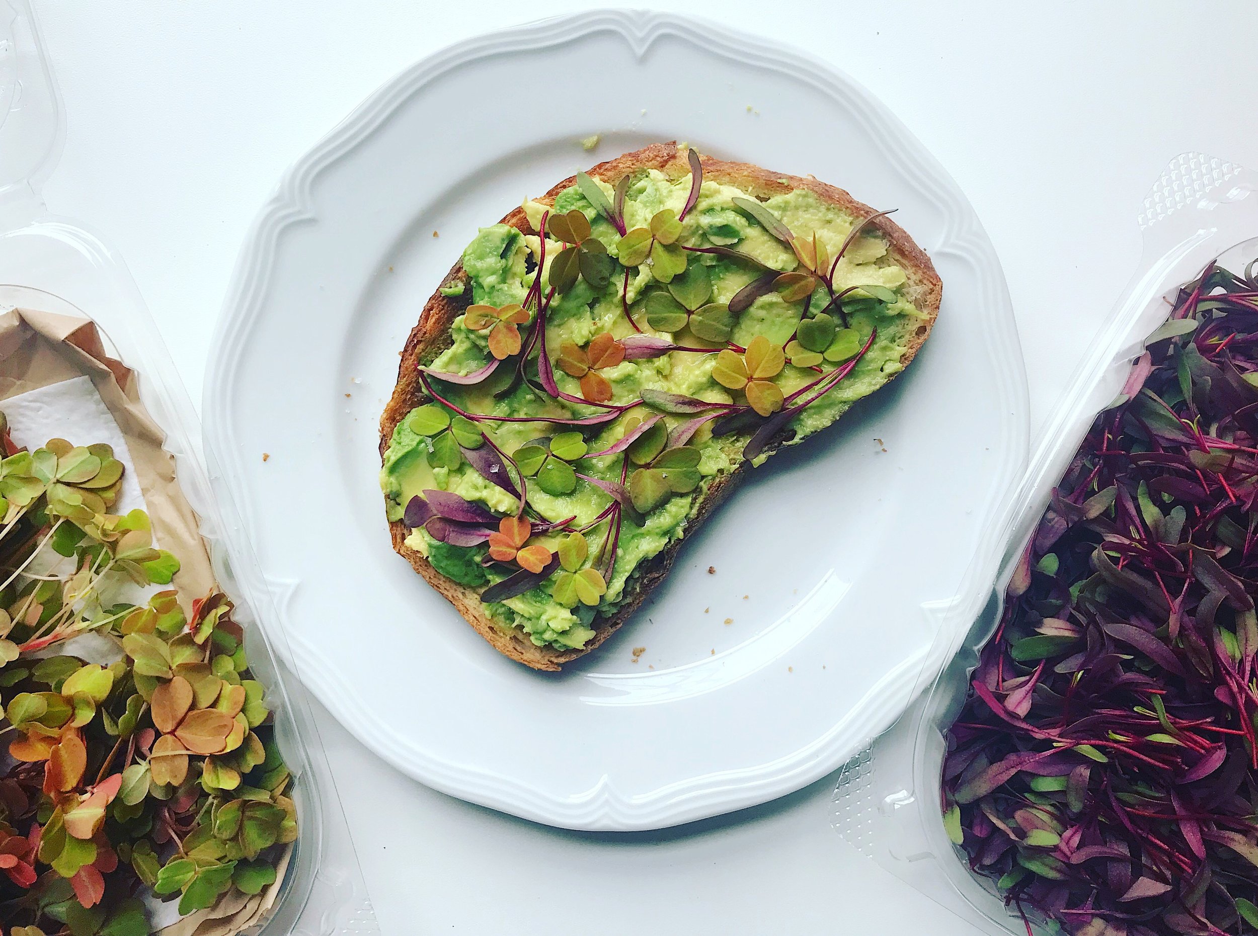 Baby Greens Are Not A Waste of Time