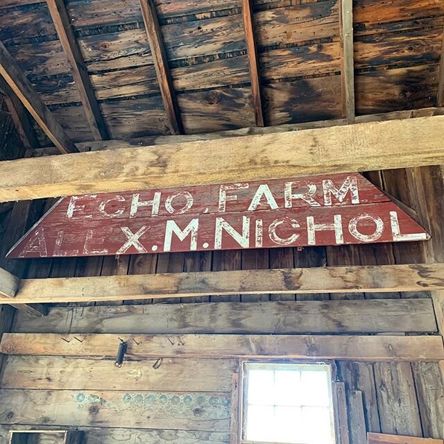 we brought the beautiful old sign inside. think it looks pretty sweet in here...