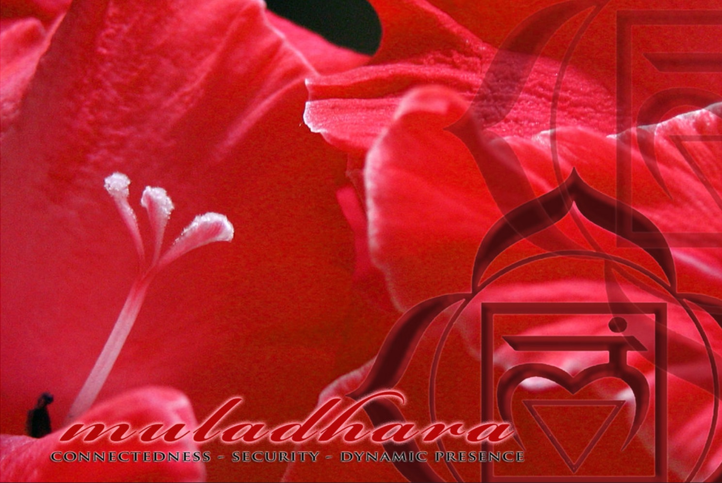 muladhara.jpg