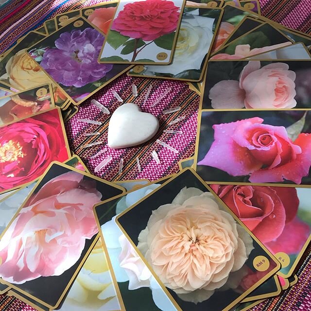 Just received these gorgeous Rose Alchemy cards and would be honored to pull one for you! 🥀 If you would like to receive a message from one of these exquisite roses, go ahead and DM me! 💗
.
.
.
#rosealchemy #oraclecards #heartvibes #roses #messages