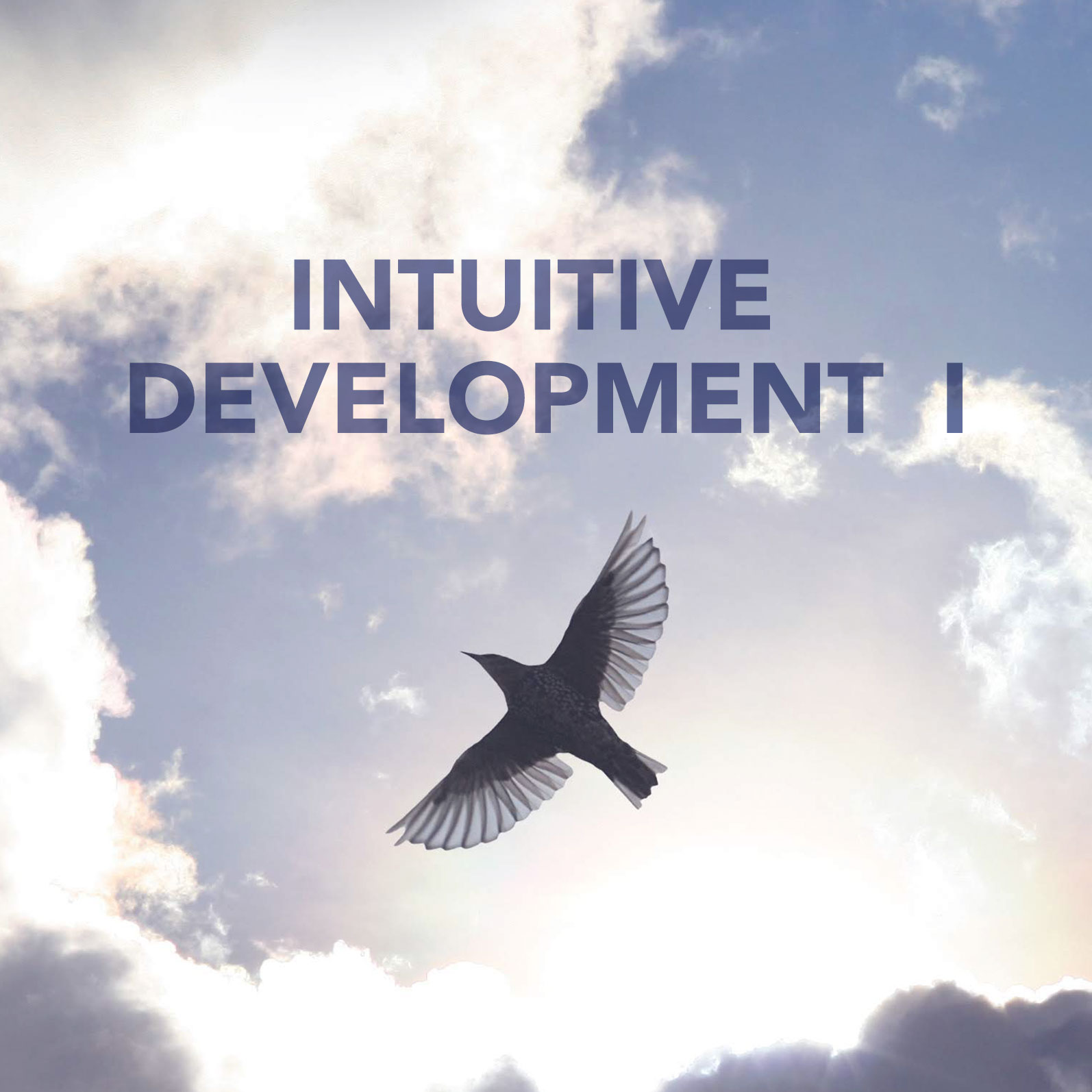 Intuitive1_sq.jpg