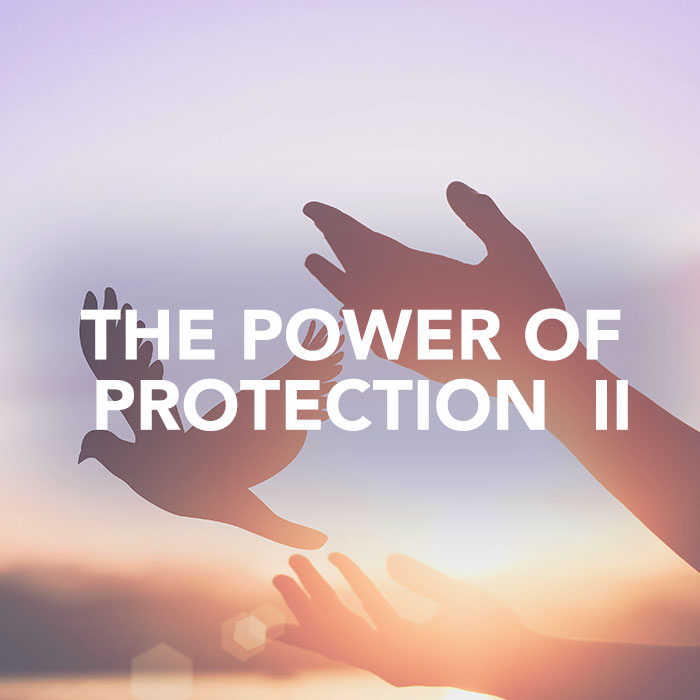 Protection_2_sq.jpg