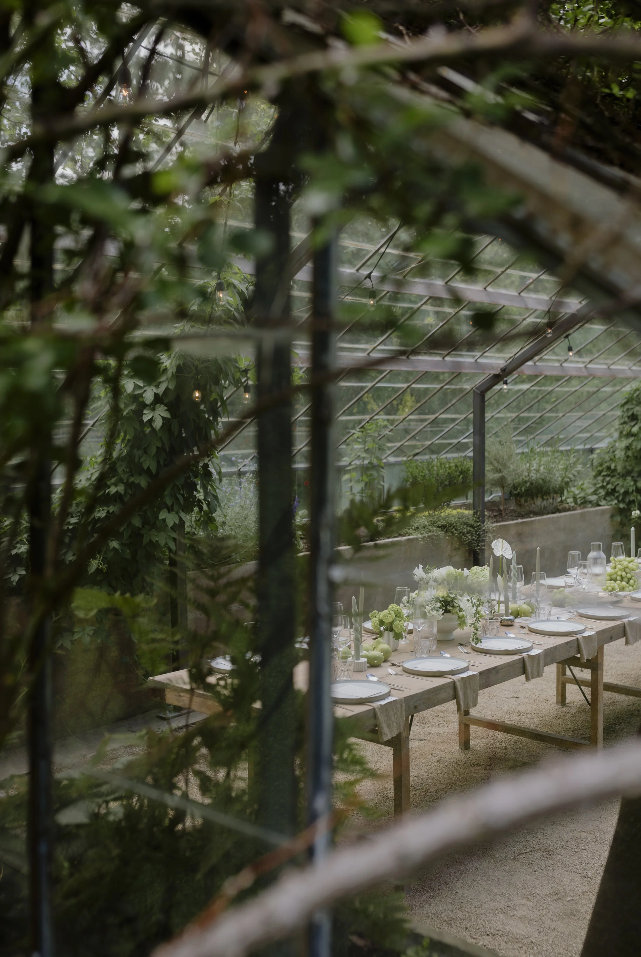 michigan wedding photographer, spring wedding, greenhouse wedding, garden wedding, west michigan wedding photographer, wedding table inspo