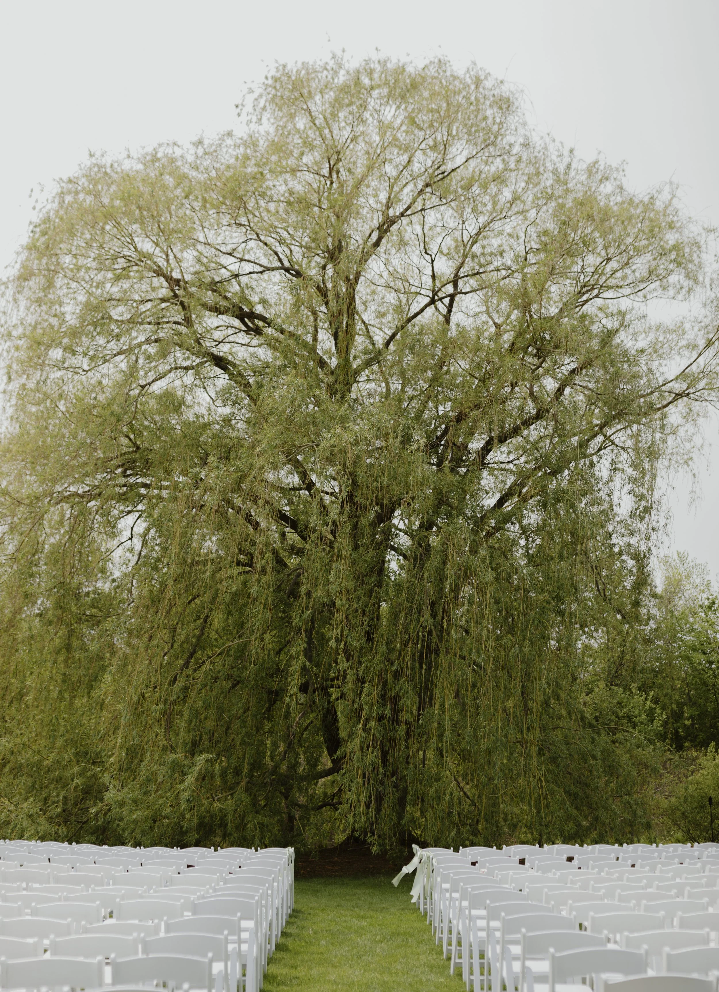 outdoor wedding ceremony, weeping willow wedding ceremony, spring wedding, ceremony details