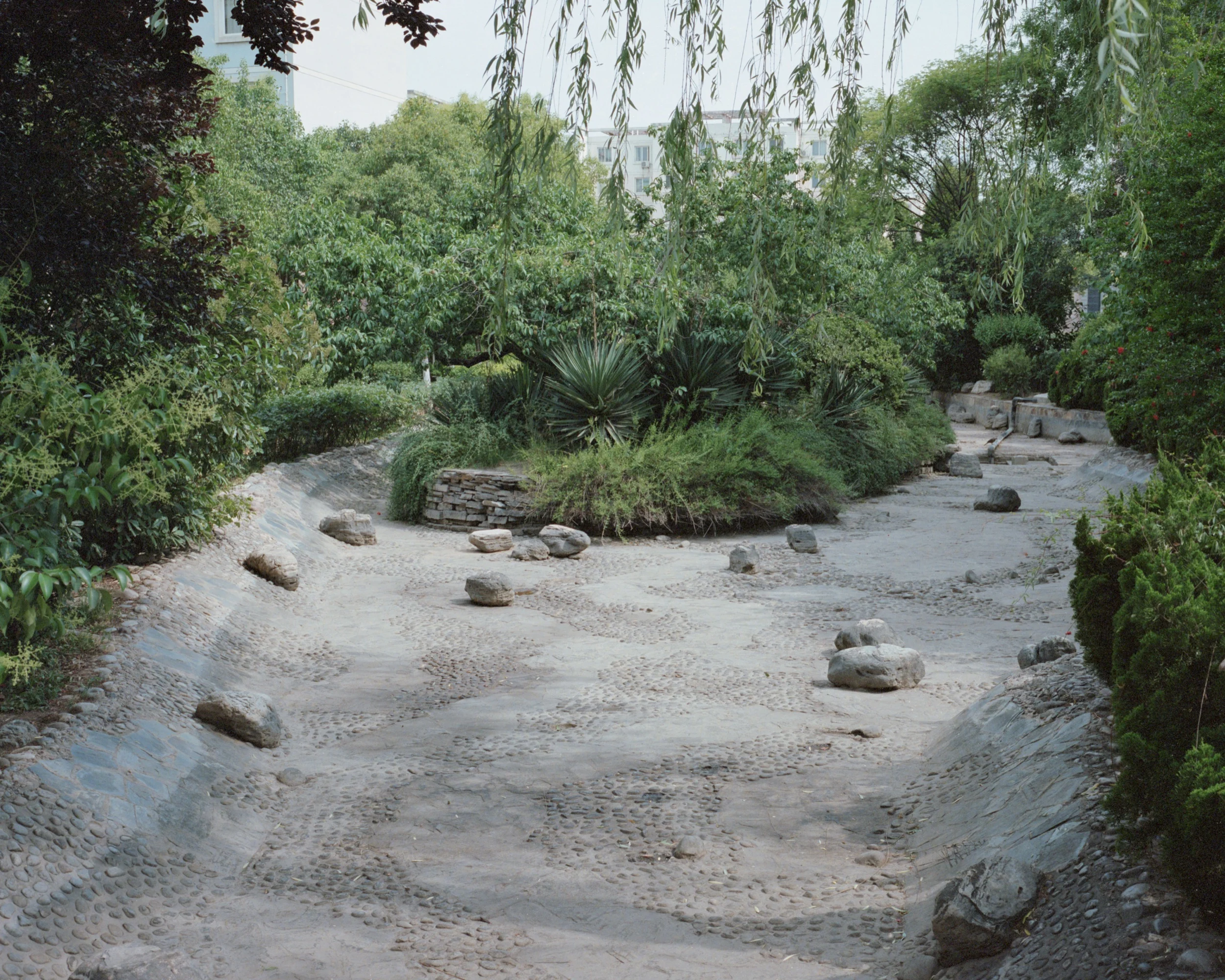 portra400556-1.jpeg