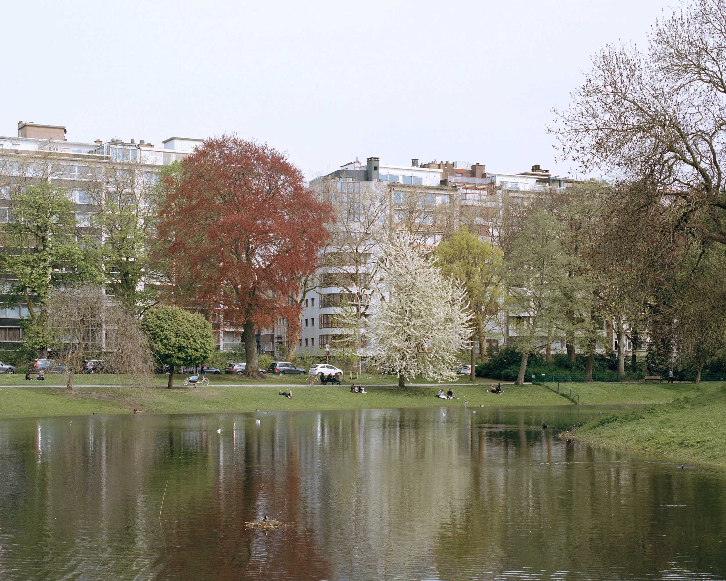 08.jpg