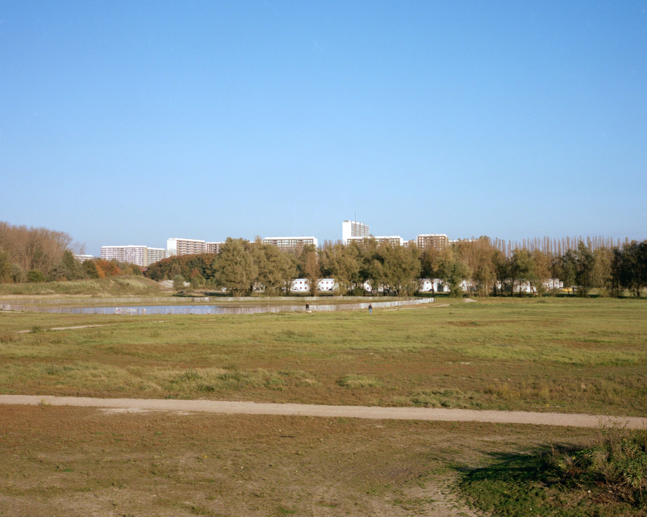 Image (12).jpg
