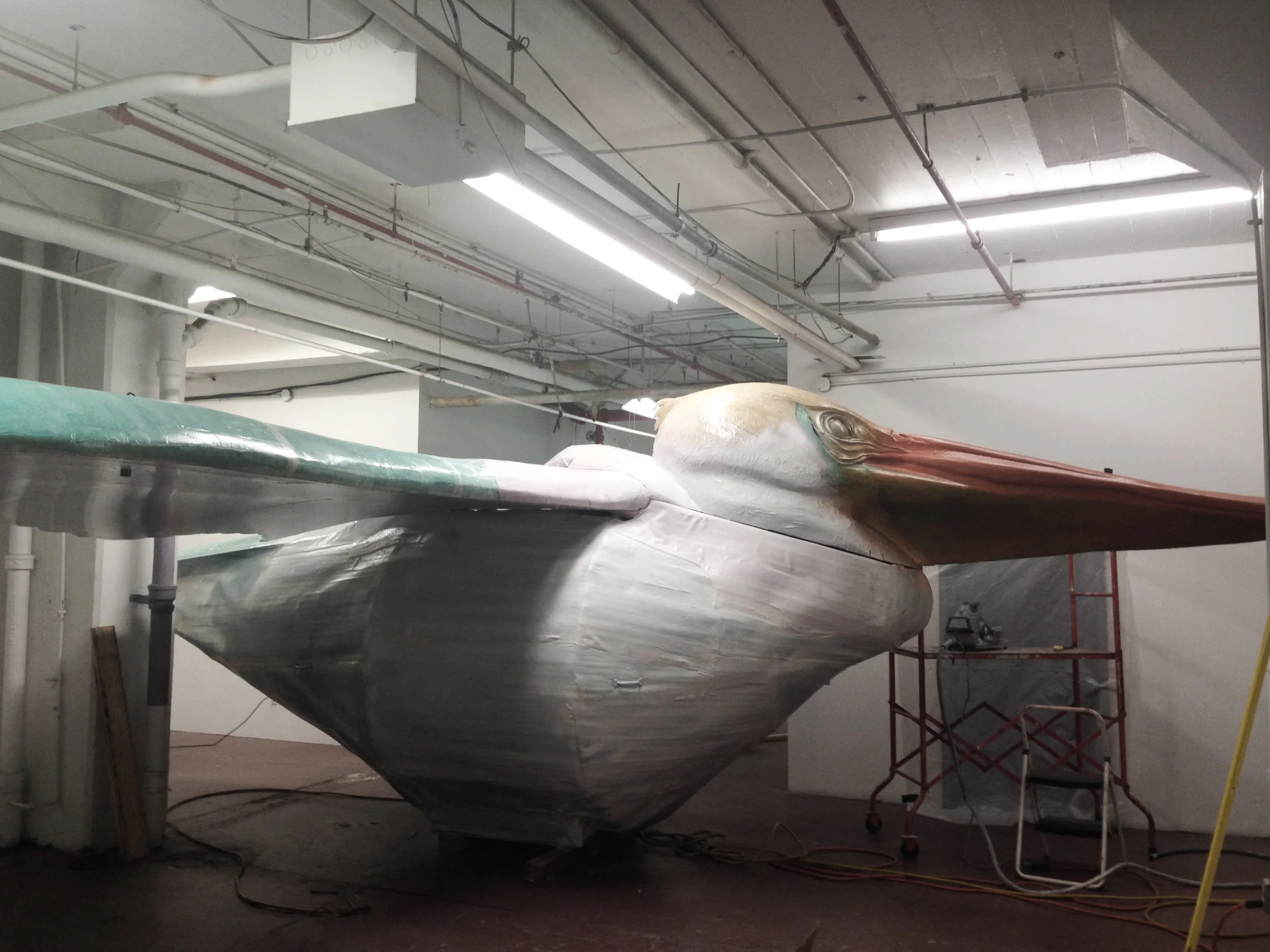 Pelican_09.jpg