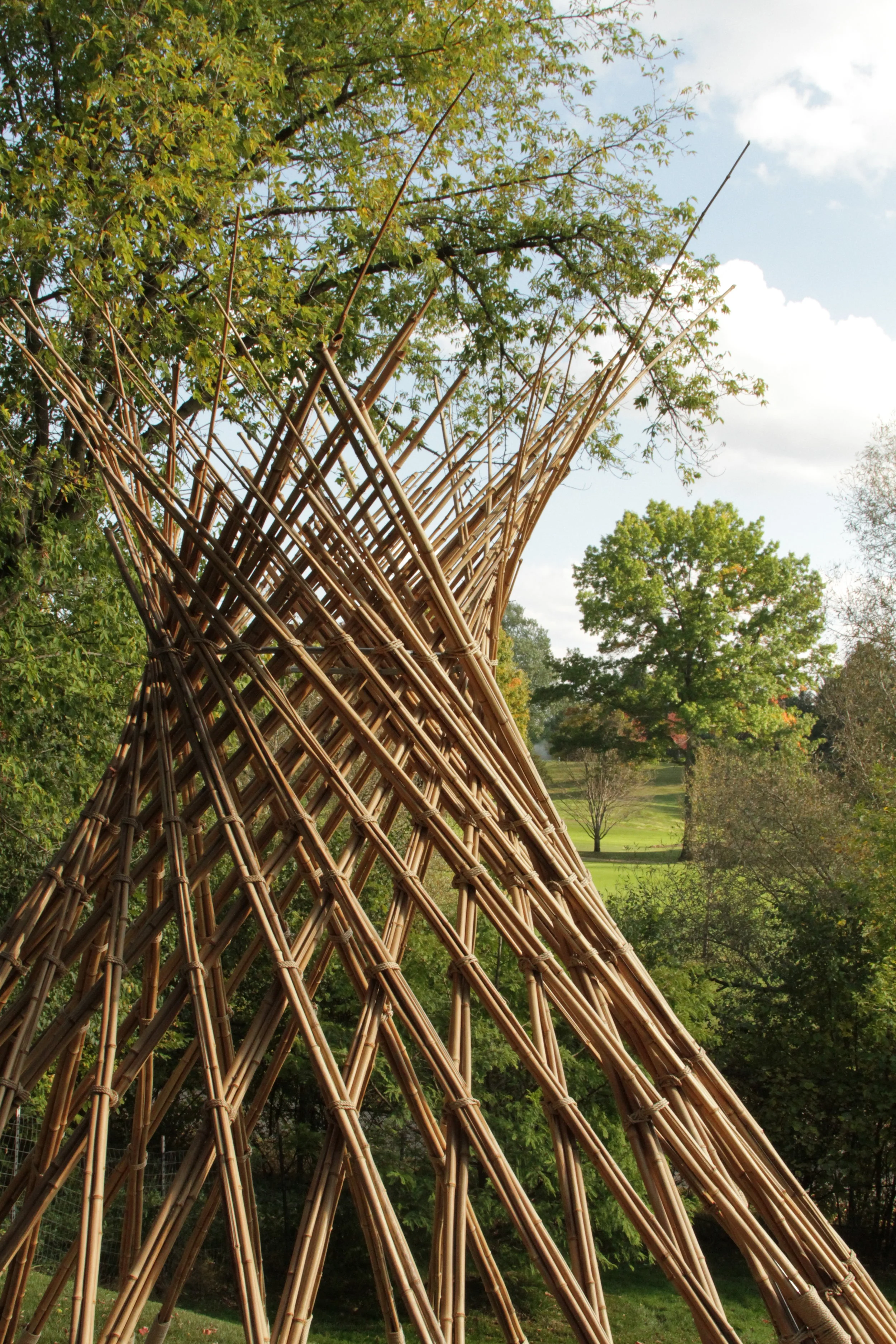 Bamboo_05.JPG