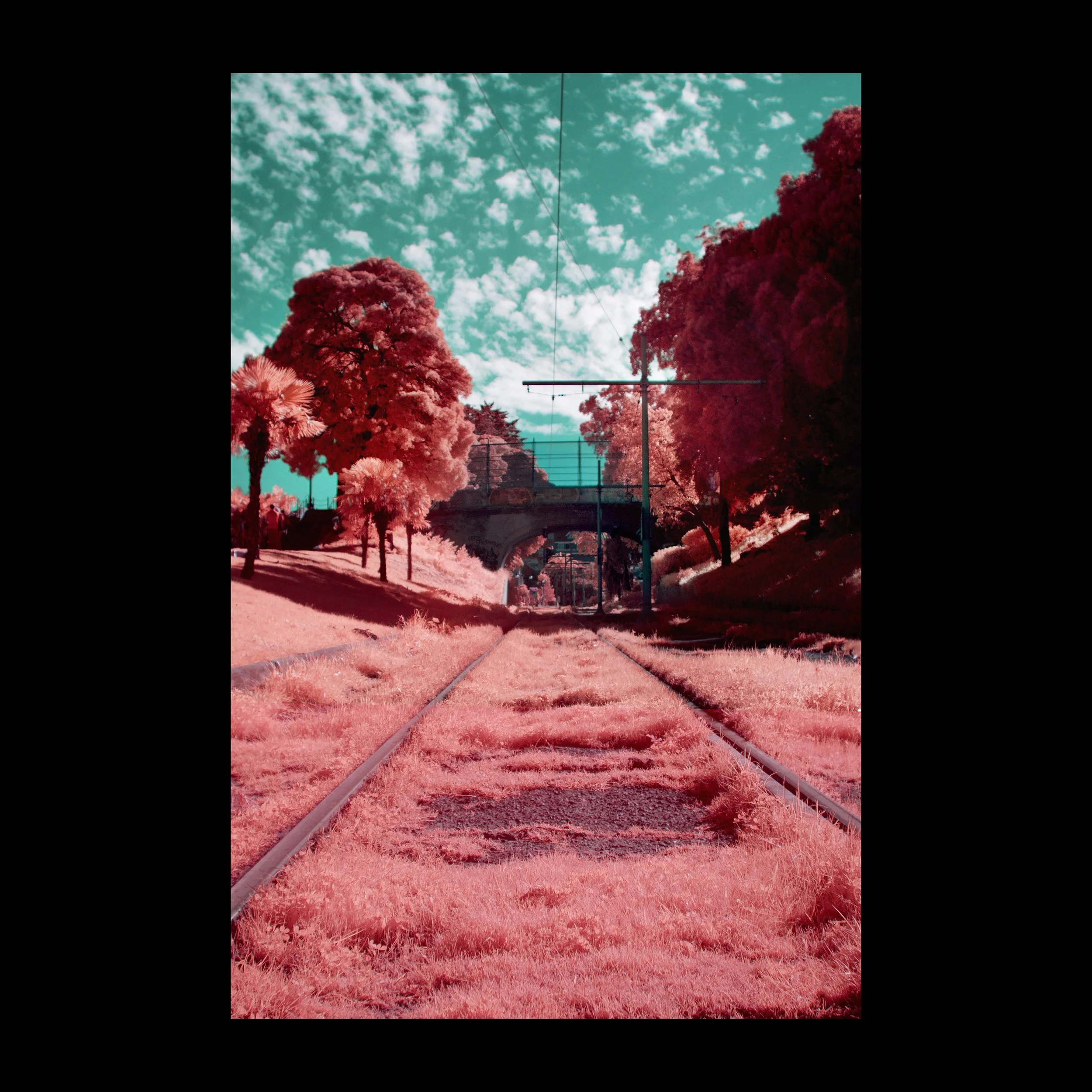 Untitled-2.jpg