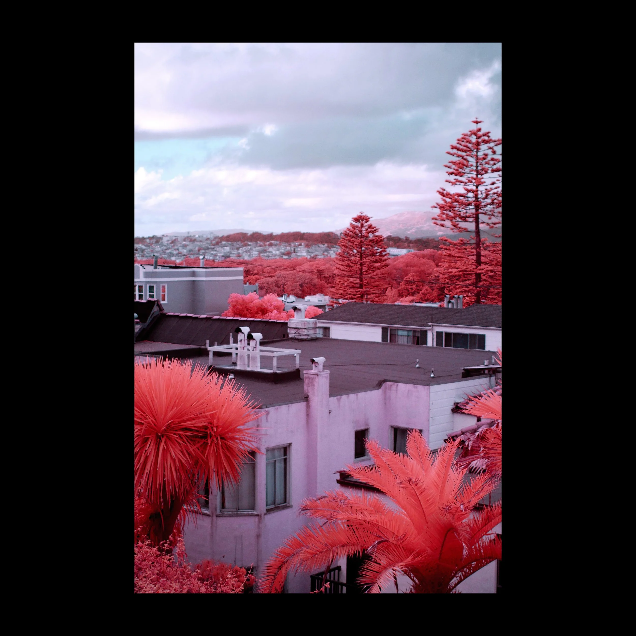 Untitled-3.jpg