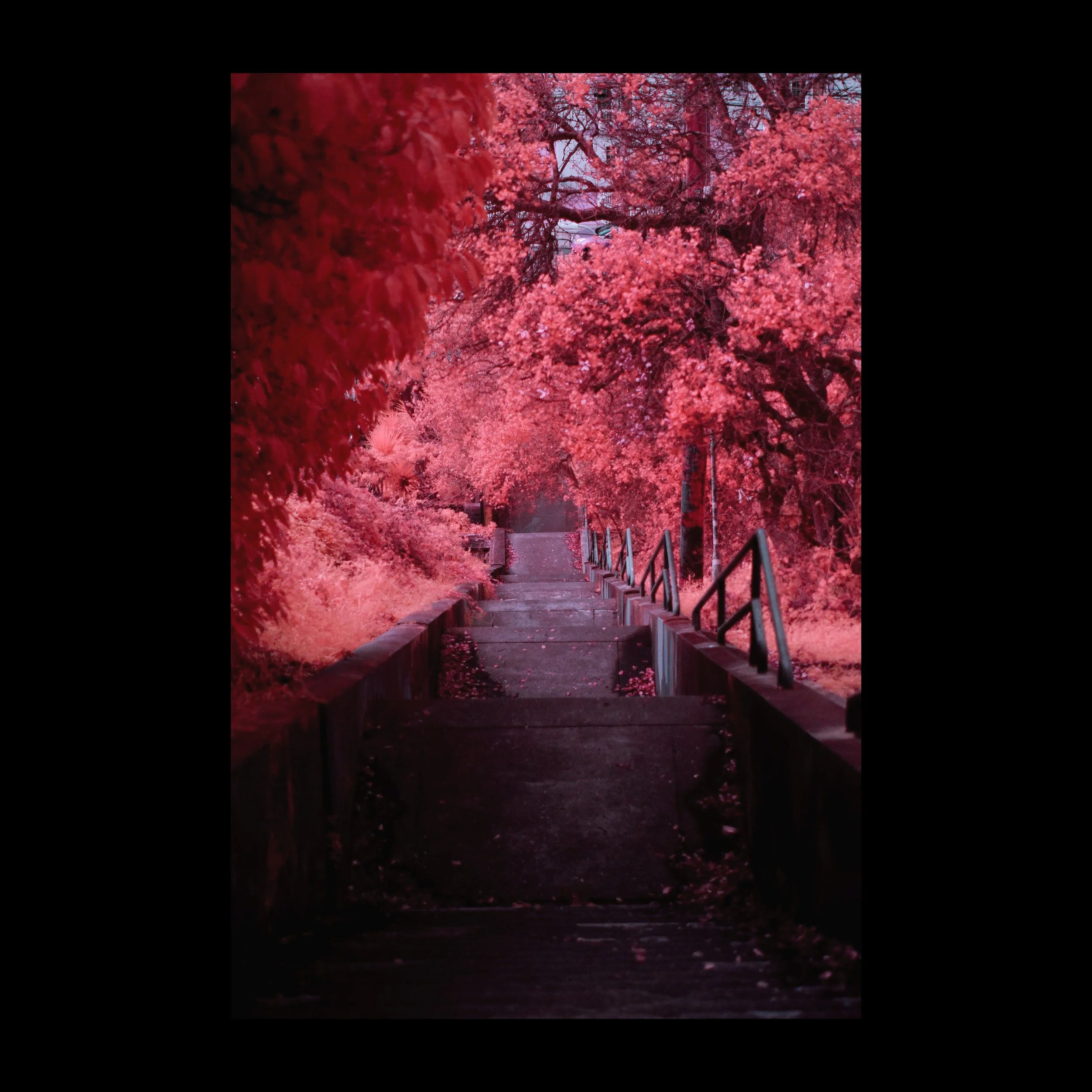 Untitled-4.jpg