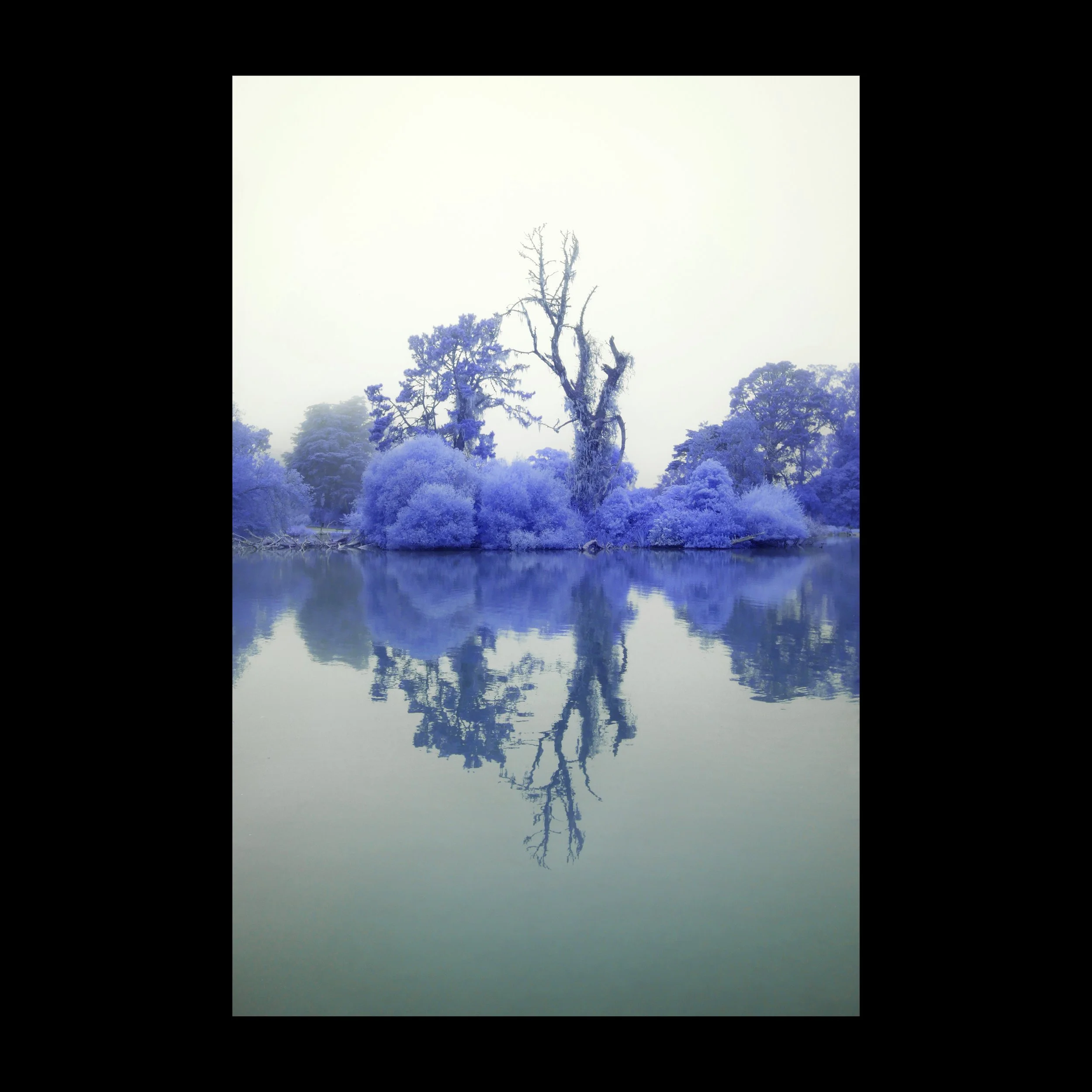 Untitled-7.jpg