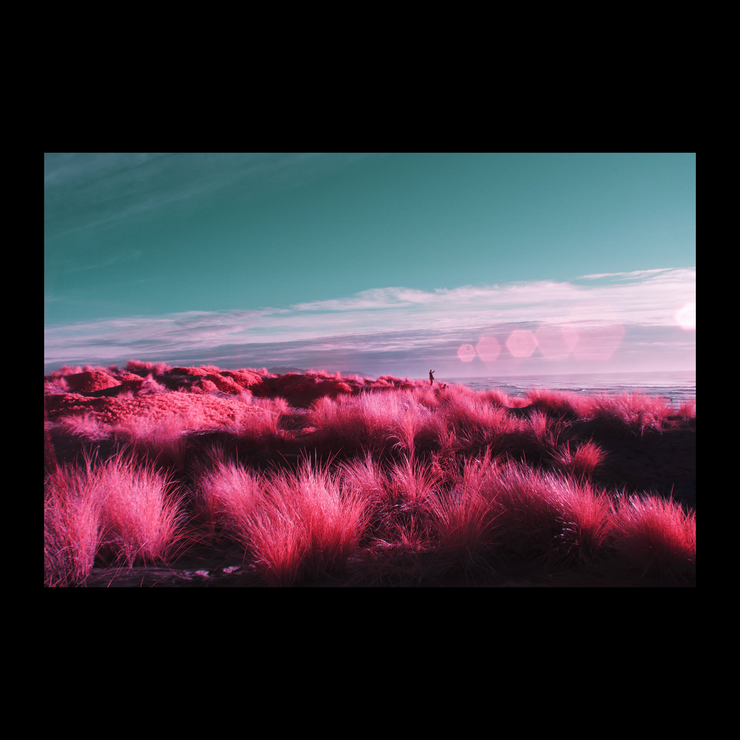 Untitled-9.jpg