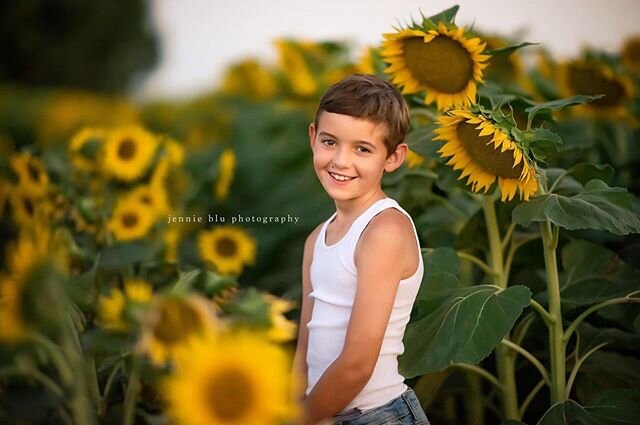 May I never see a world without sunflowers or without him...💙
.
.
@californiafarmsandranches .
**taken with permission. Please respect our farmers&rsquo; fields**
*
*
*
*
#sacramentophotographer #rosevillephotographer #folsomphotographer #sunflowers