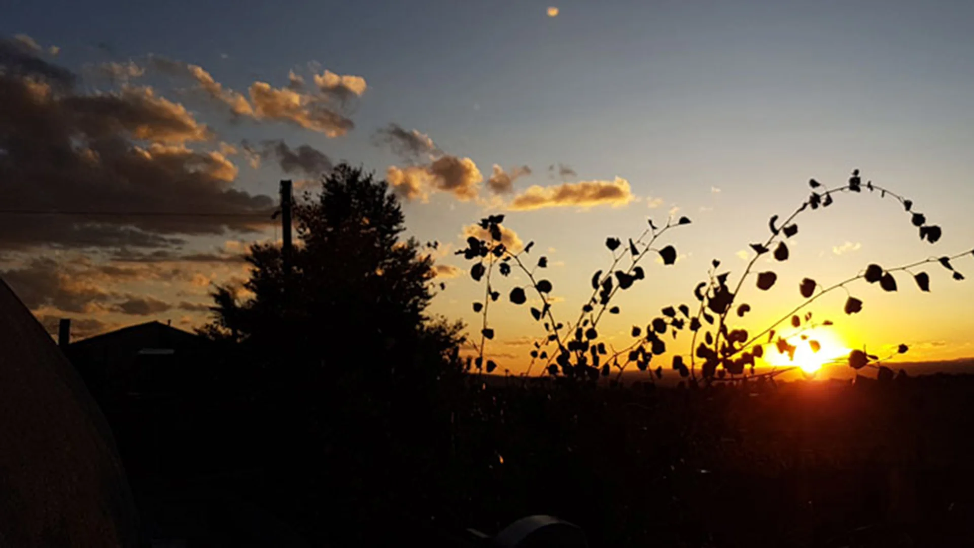 bg-sunset.jpg