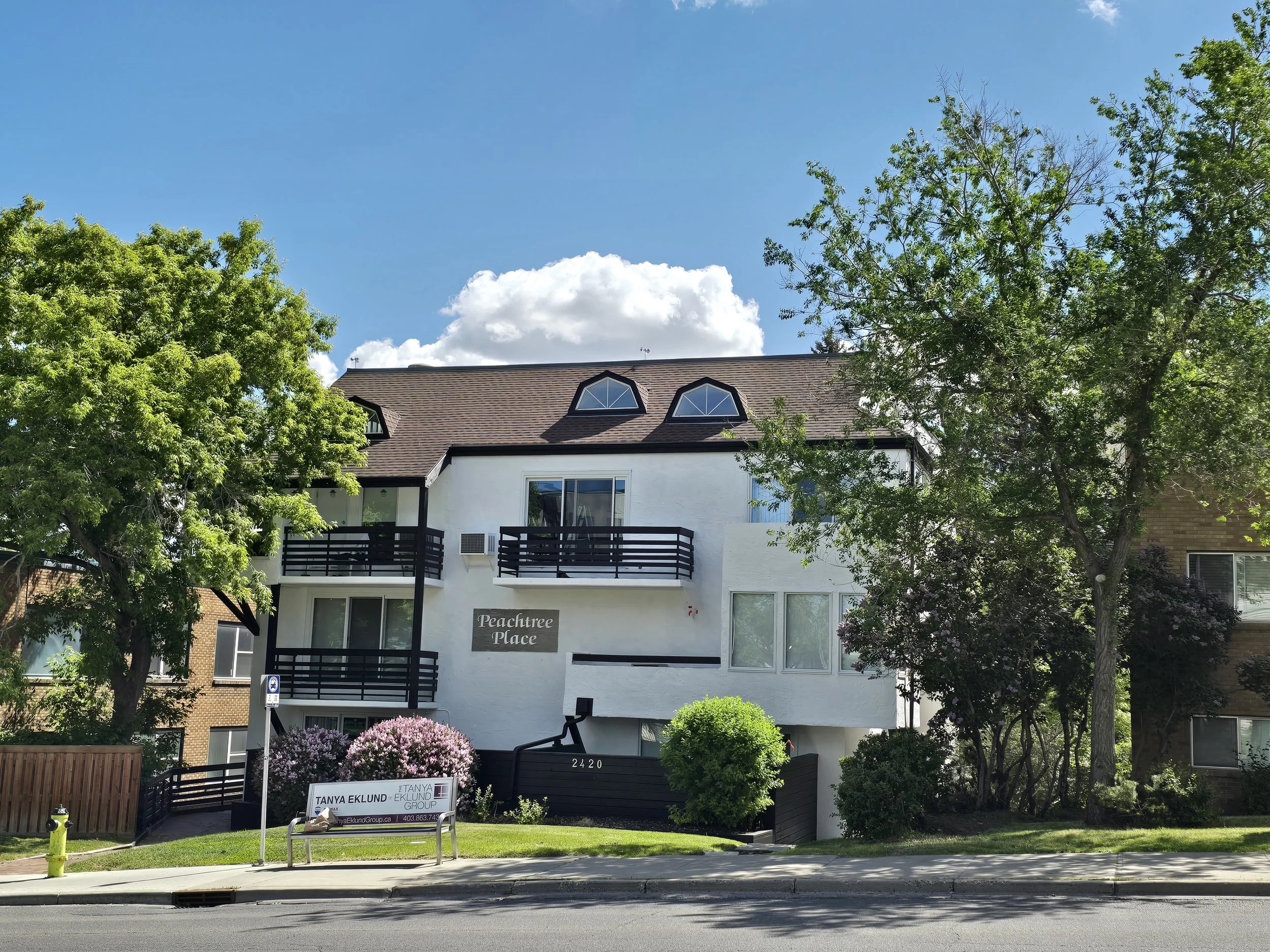 2024-06-13 11.18.32.jpg