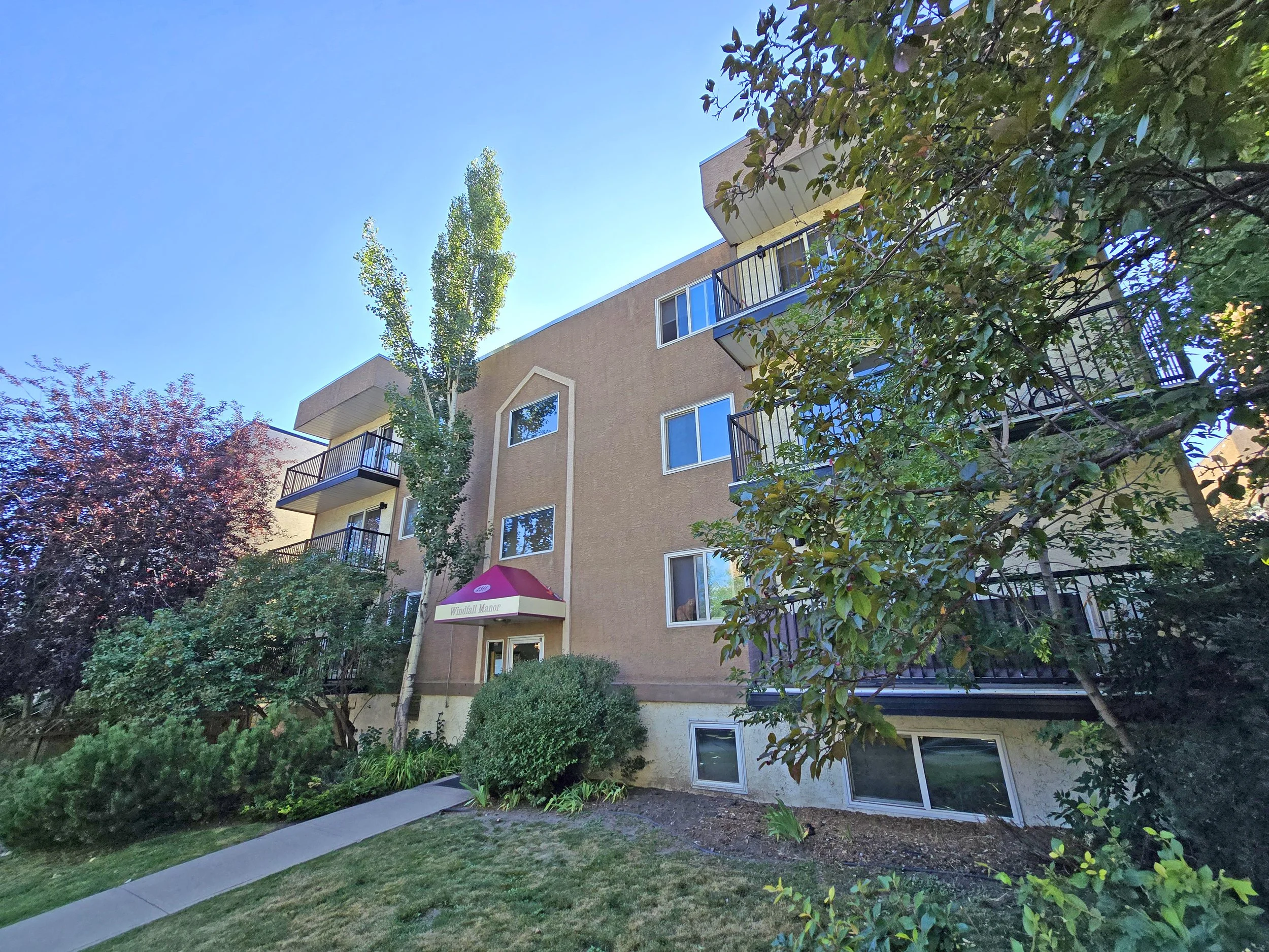 2024-08-20 17.09.57.jpg