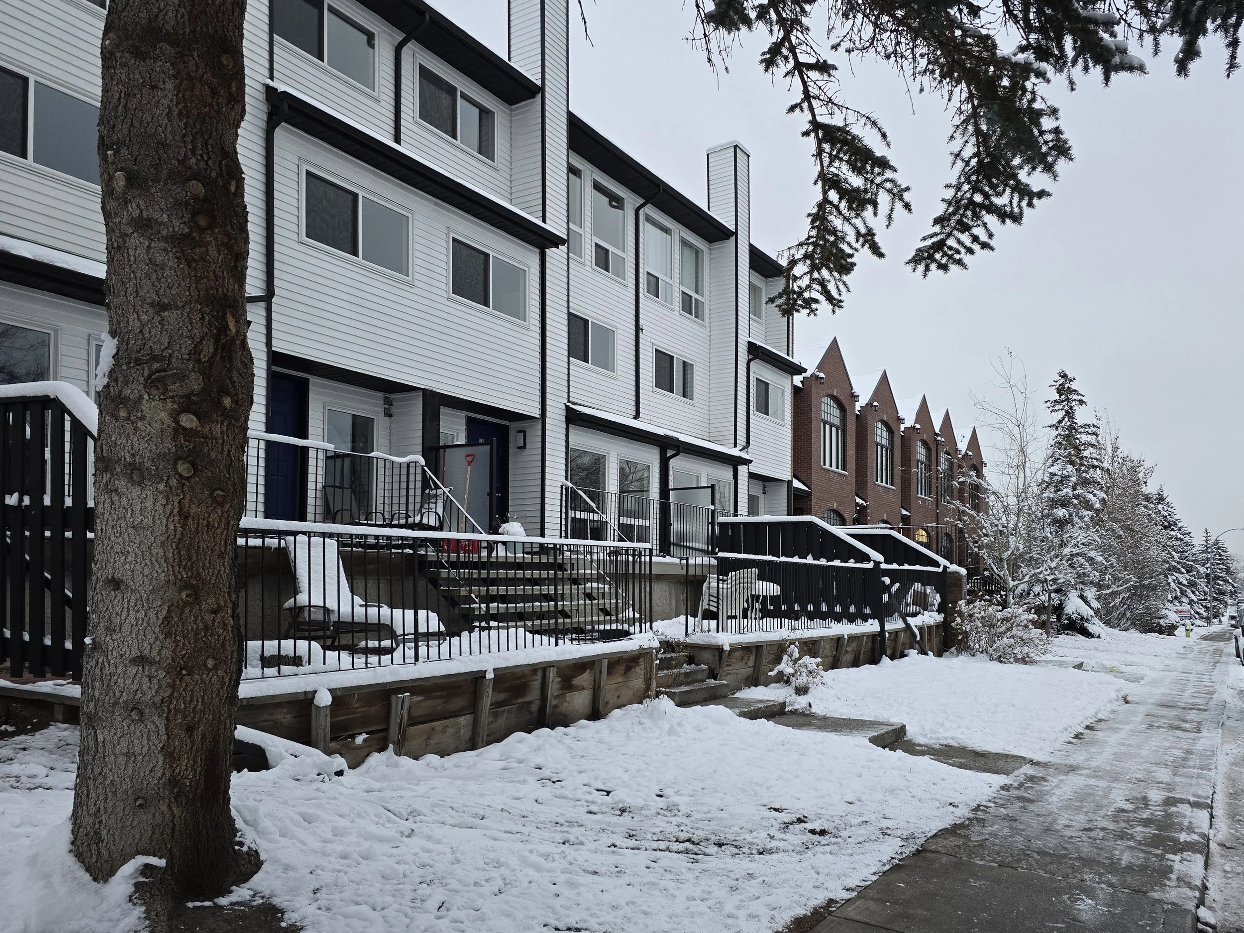 2024-11-19 16.41.10.jpg