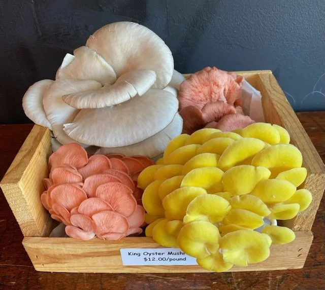 From Sidekick to MVP: How Mushrooms Are Taking Over Every Plate