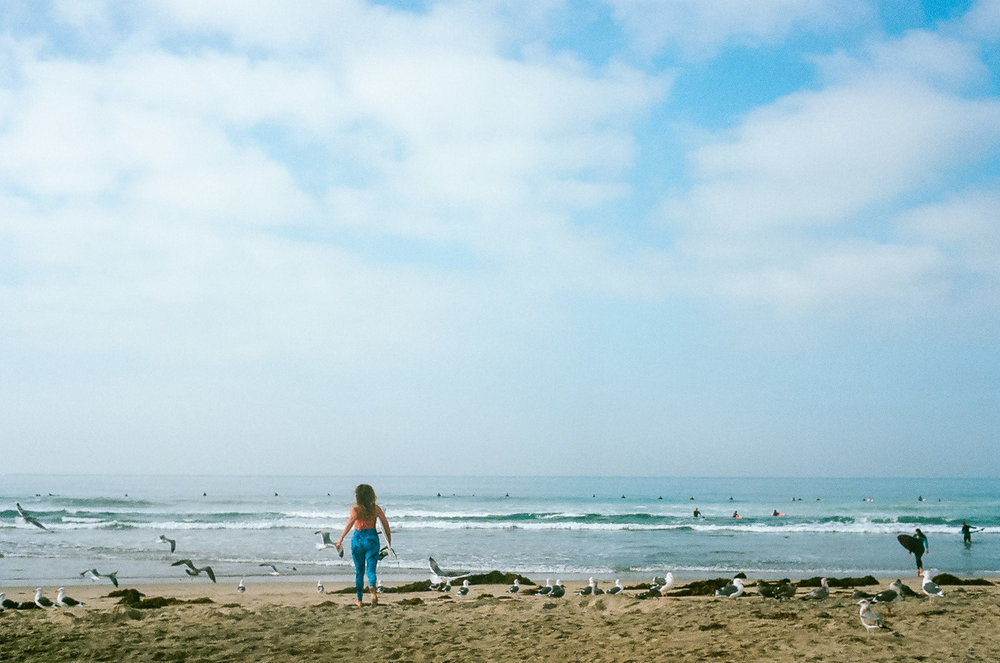 35mm color film Surfing photo shoot at Huntington State Beach with girl surfer chasing seagulls for Get wise fool eco-friendly surf company