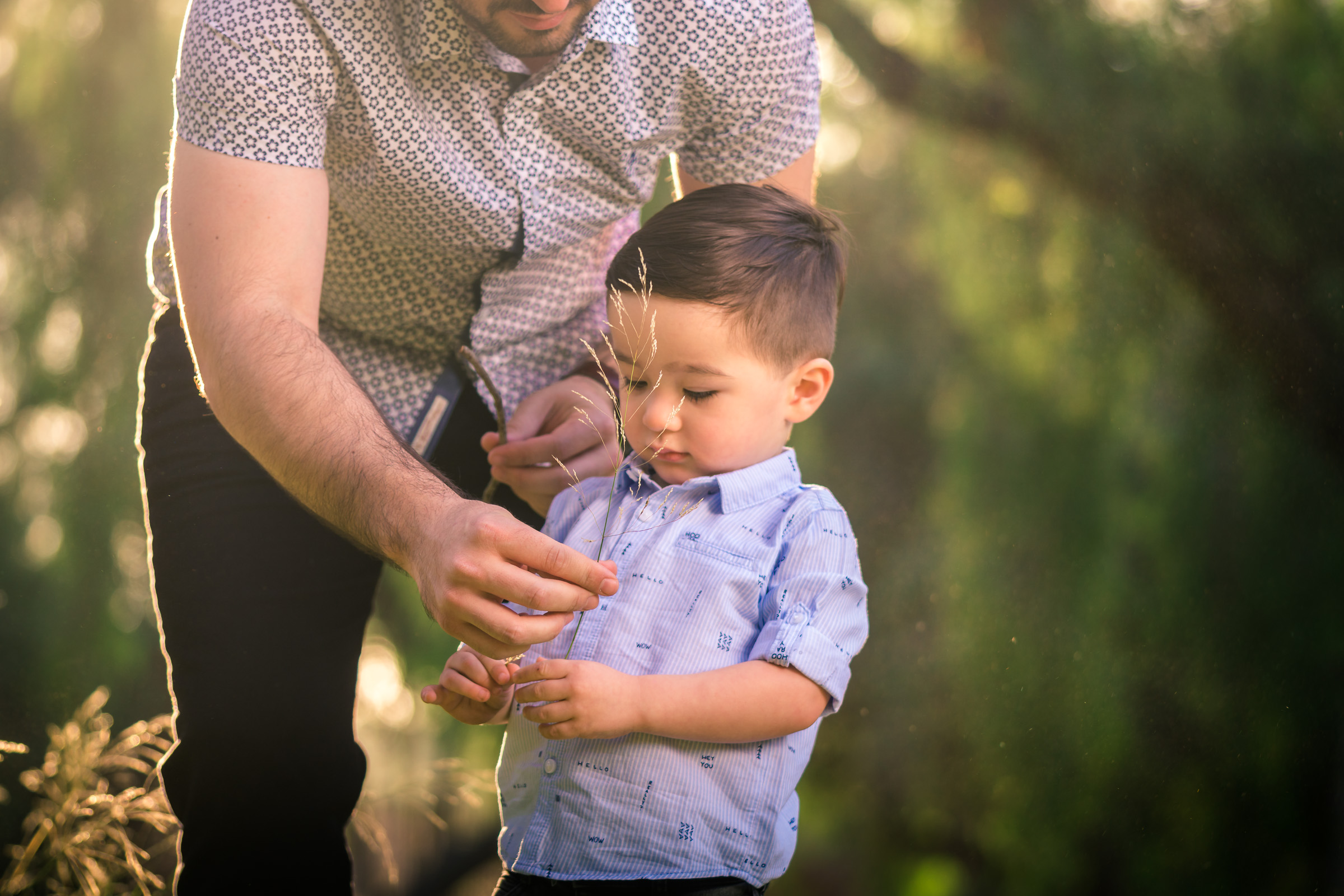 little boy and dad portrait during a Family portrait photo shoot in Fullerton on the Juanita Cooke Hiking Trail with green trees and grass and the golden hour sun