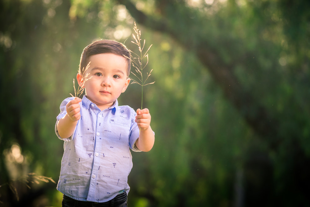 little boy portrait during a Family portrait photo shoot in Fullerton on the Juanita Cooke Hiking Trail with green trees and grass and the golden hour sun