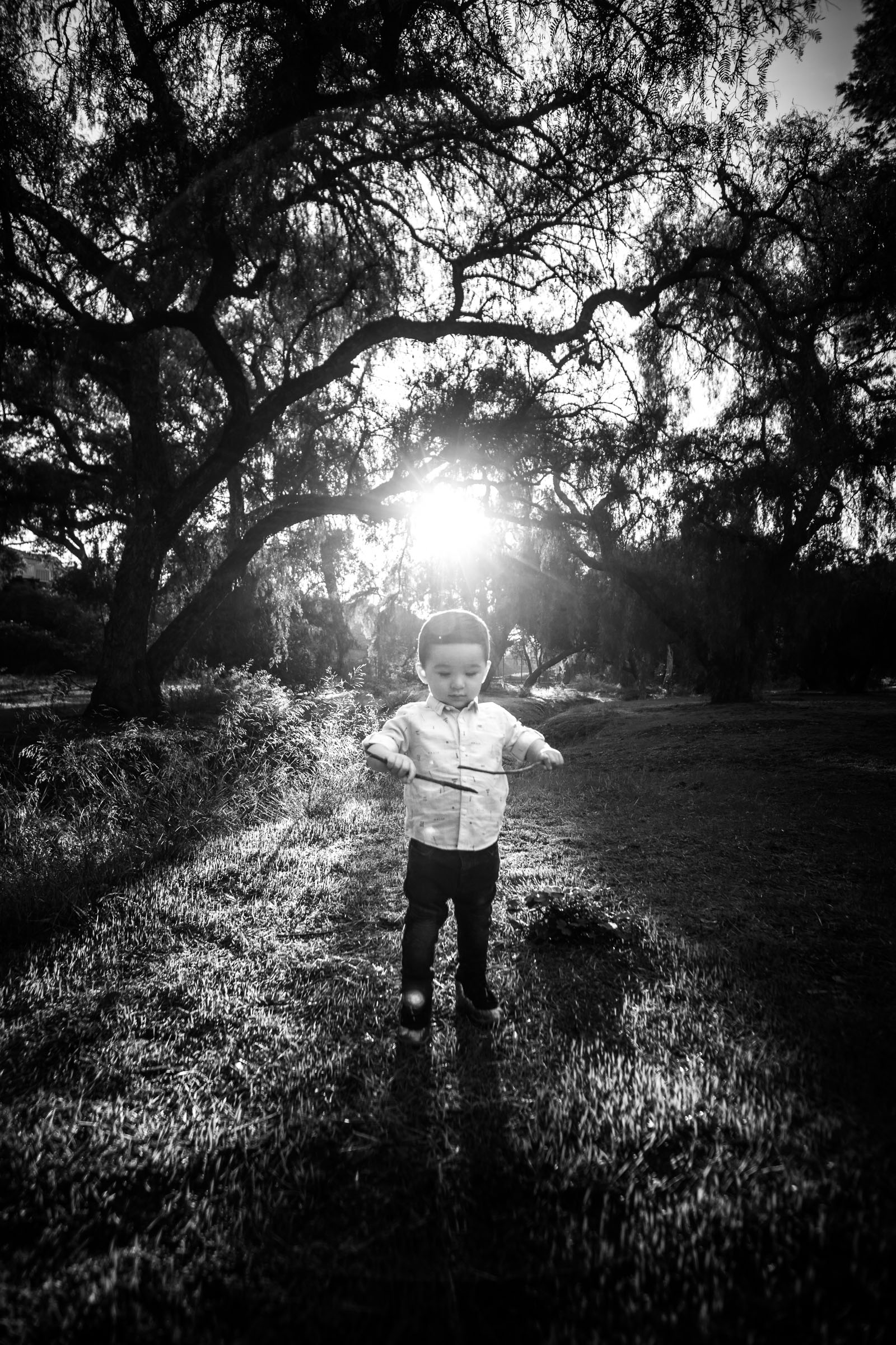 black and white Candid portrait of a little boy playing during a Family portrait photo shoot in Fullerton on the Juanita Cooke Hiking Trail with green trees and grass and the golden hour sun
