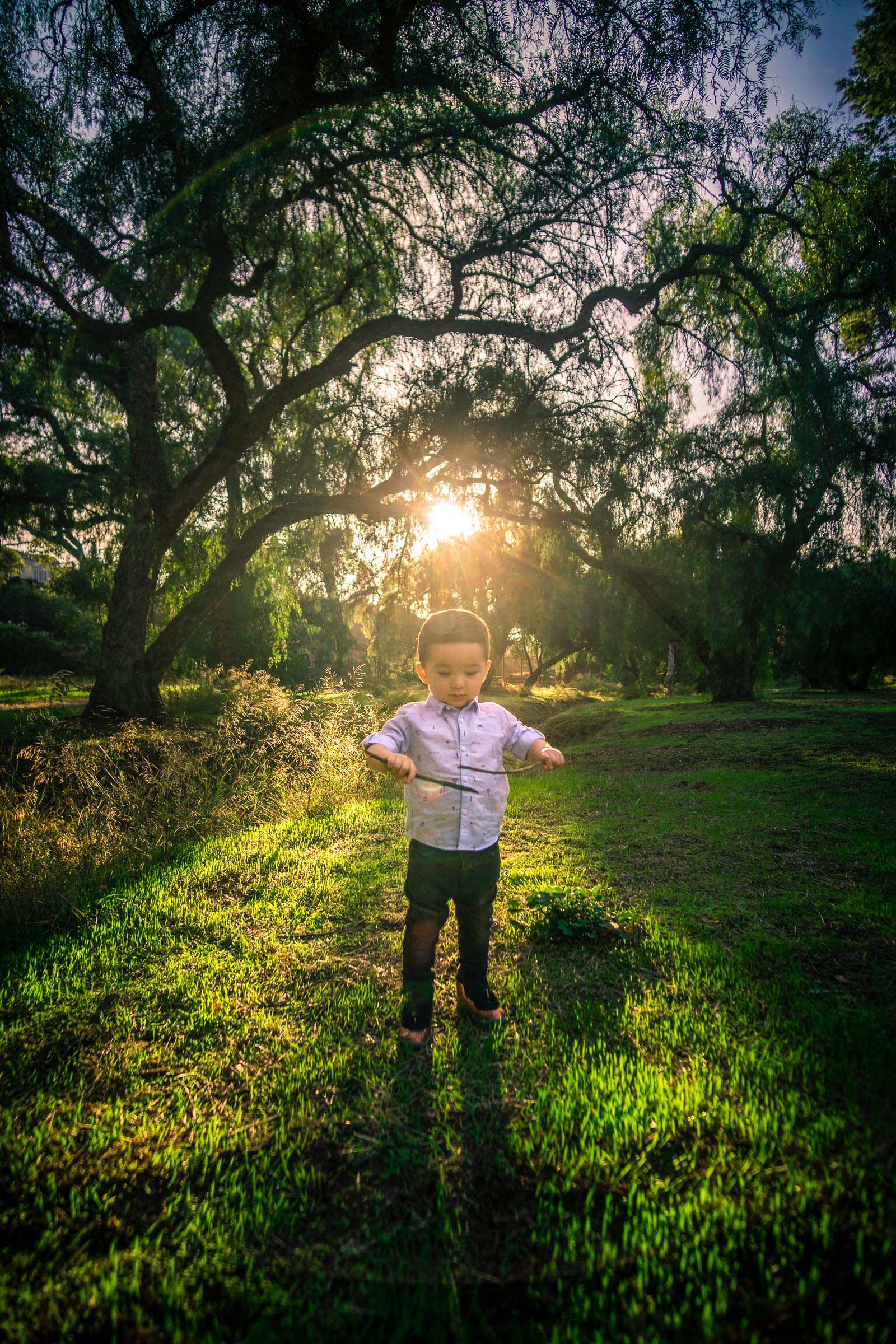 Candid portrait of a little boy playing during a Family portrait photo shoot in Fullerton on the Juanita Cooke Hiking Trail with green trees and grass and the golden hour sun