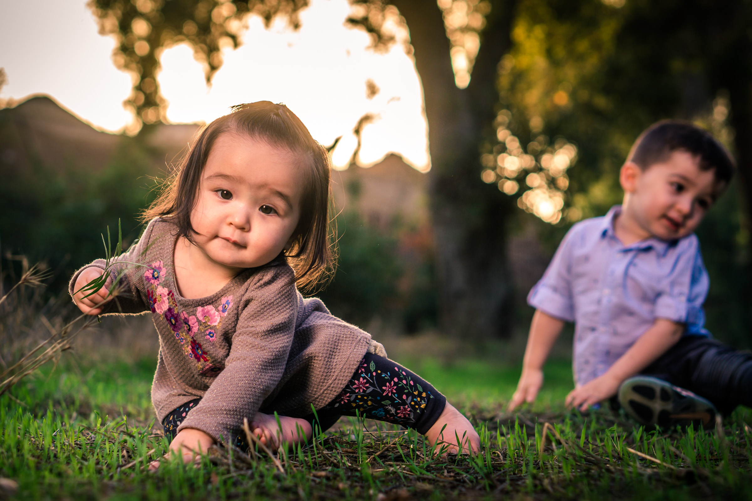 Portrait of a cute Little baby girl playing in the grass on the Juanita Cooke Trail in Fullerton during a family portrait session