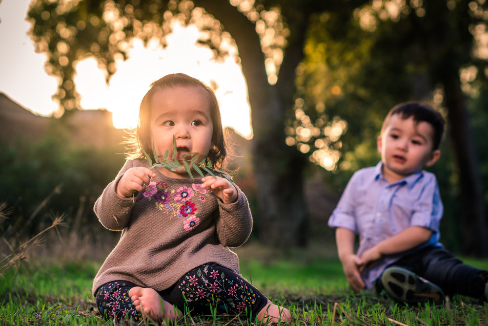 Portrait of a cute Little baby girl eating a leaf and playing in the grass with her brother on the Juanita Cooke Trail in Fullerton during a family portrait session