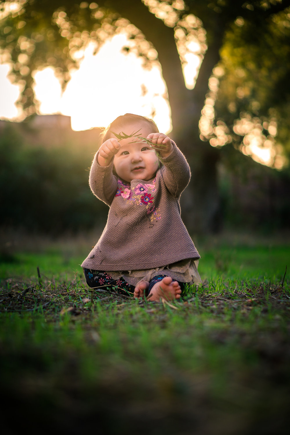 Portrait of a cute Little baby girl  playing in the grass on the Juanita Cooke Trail in Fullerton during a family portrait session