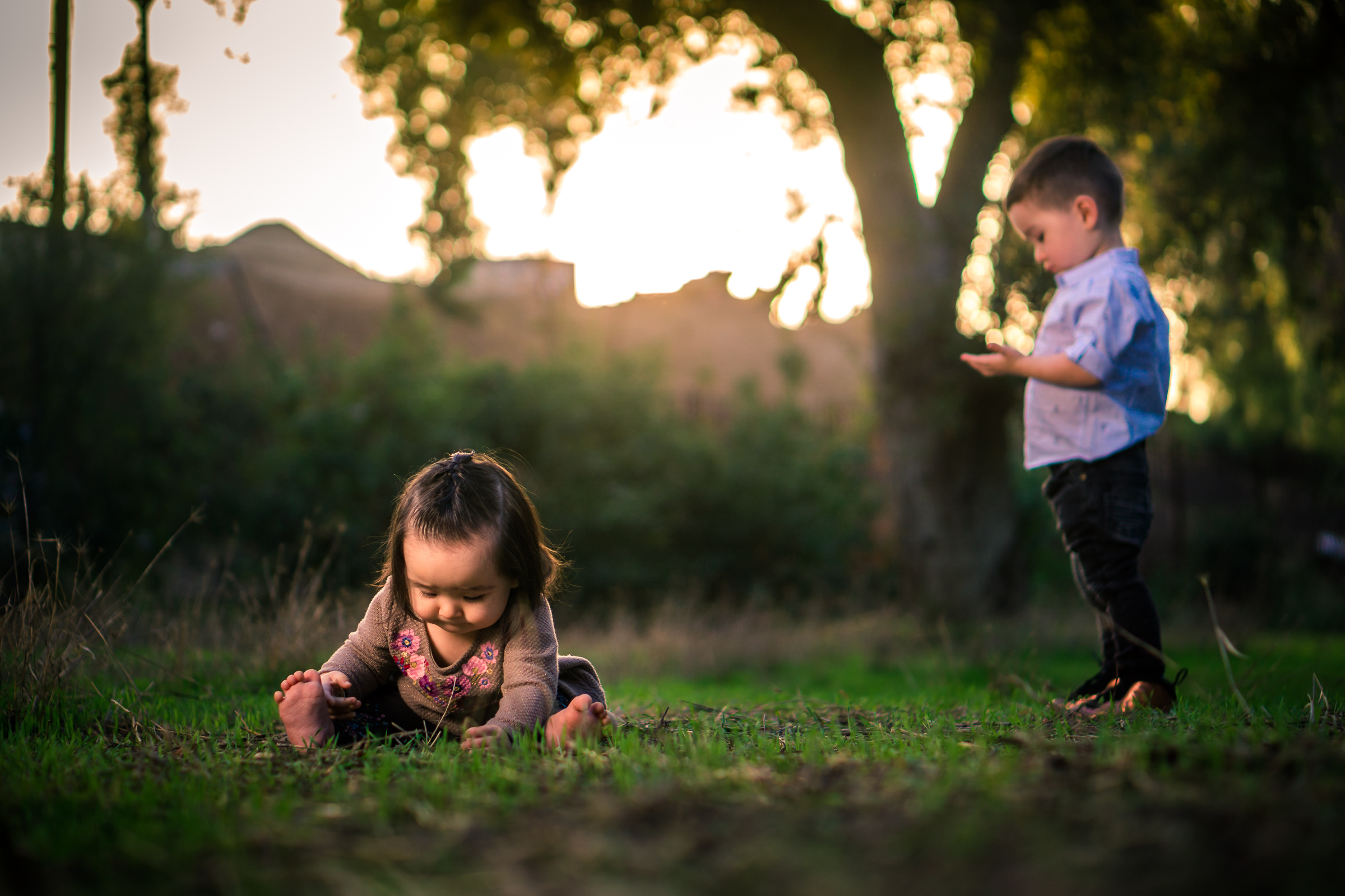 Portrait of a cute Little baby girl  playing in the grass with her brother on the Juanita Cooke Trail in Fullerton during a family portrait session