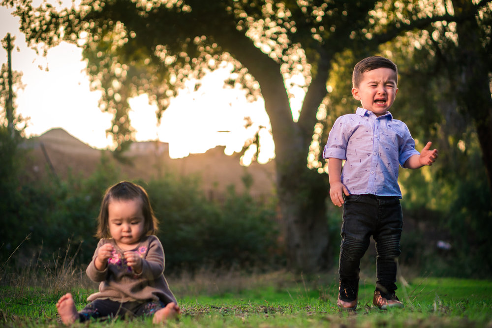 Portrait of a cute Little baby girl  playing in the grass with her brother crying during a family portrait session in fullerton orange county