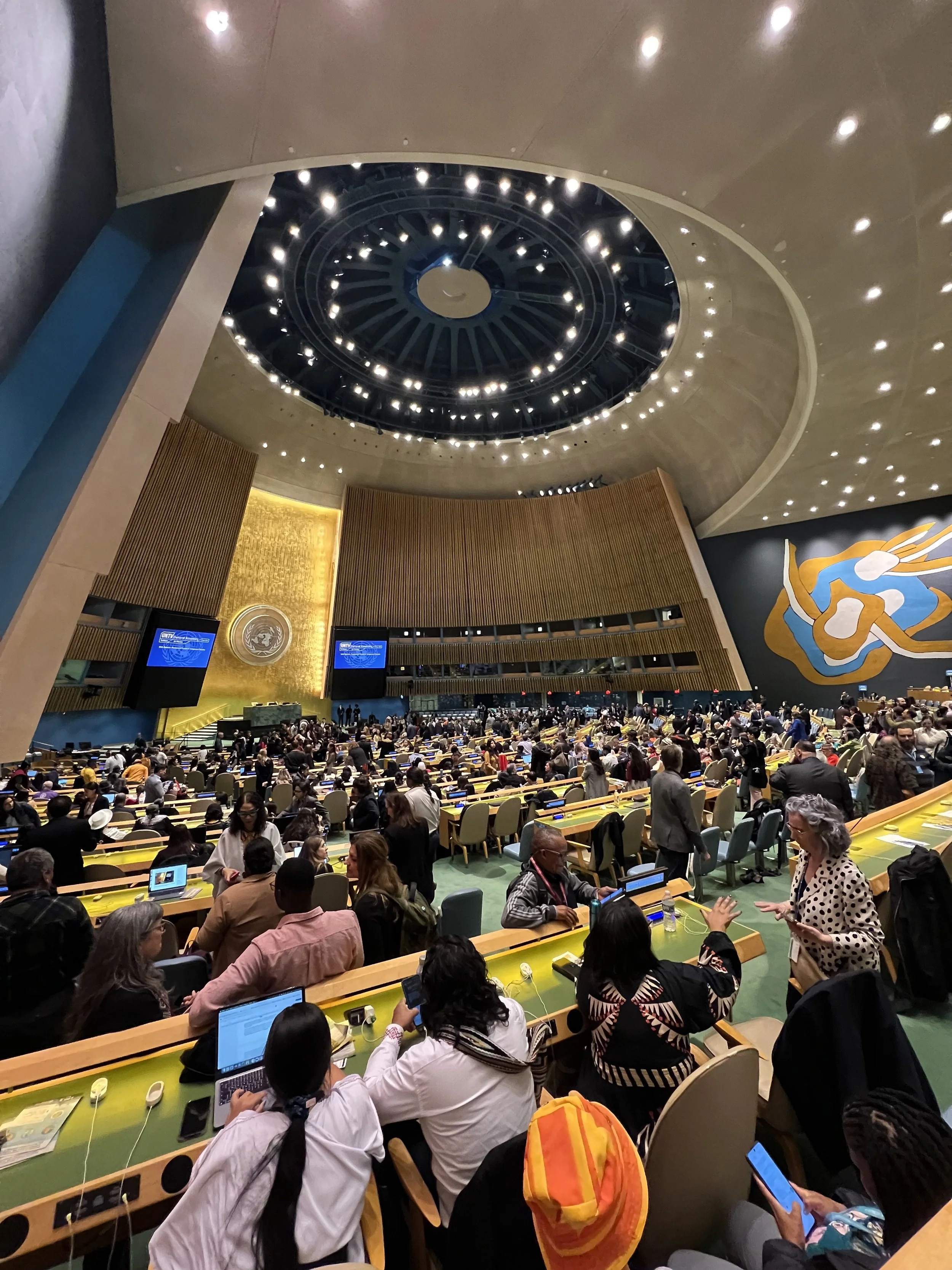 A call for reflection: the representation of Indigenous Peoples at the UN Permanent Forum
