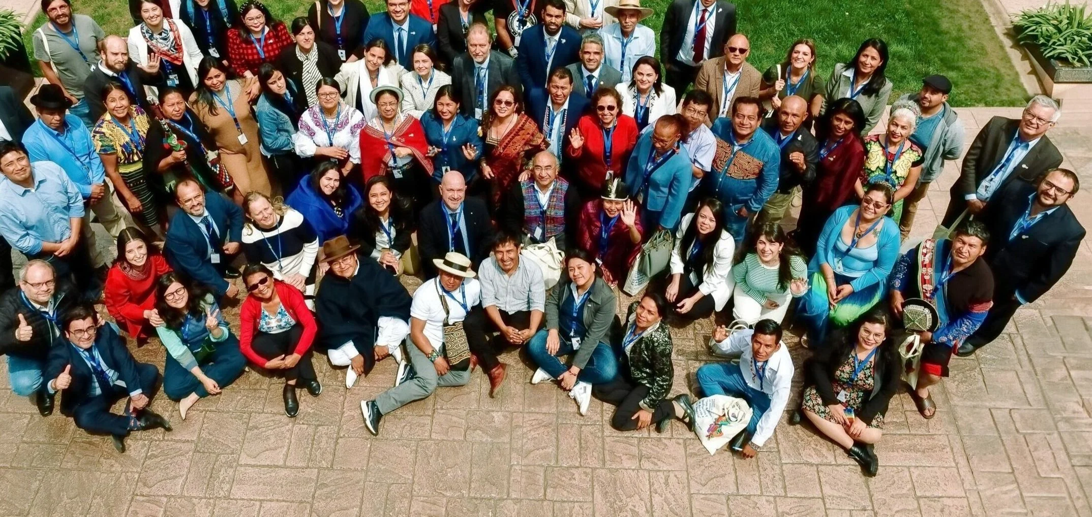 Images for Inclusion: International Advocacy and Engagement for Indigenous Peoples' Rights at the UN Dialogue in Chile