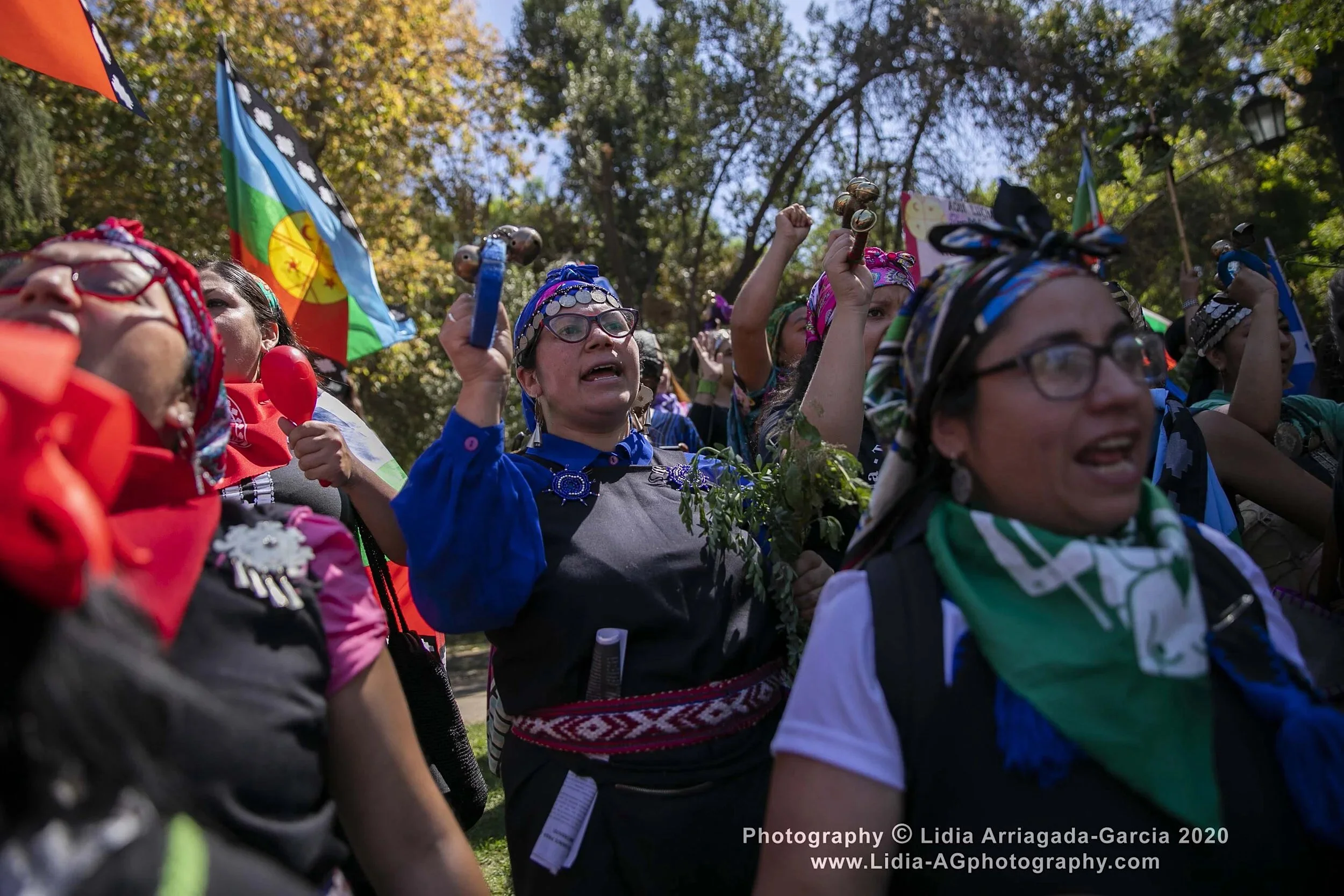 Images for Inclusion acusa a Chile de "despojo encubierto, perverso y de mala fe" en consulta sobre tierras Mapuche y apela a la ONU