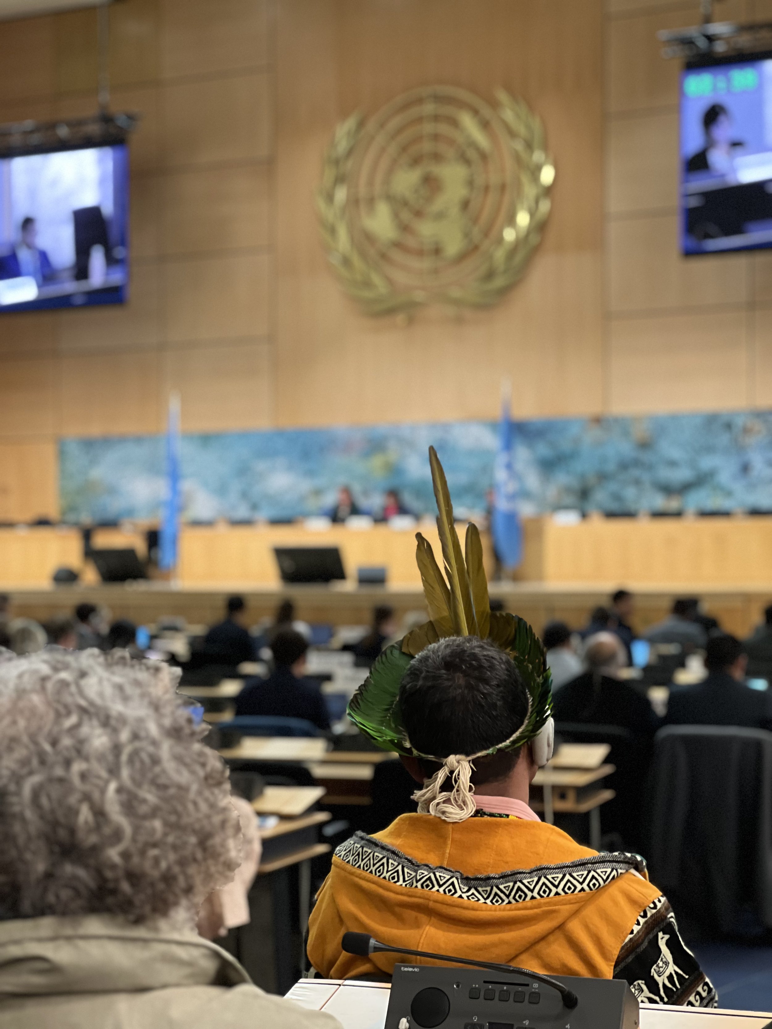 IFI’s Interventions at the 60th Session of the UN Human Rights Council Exposing Chile's International obligations Avoidance