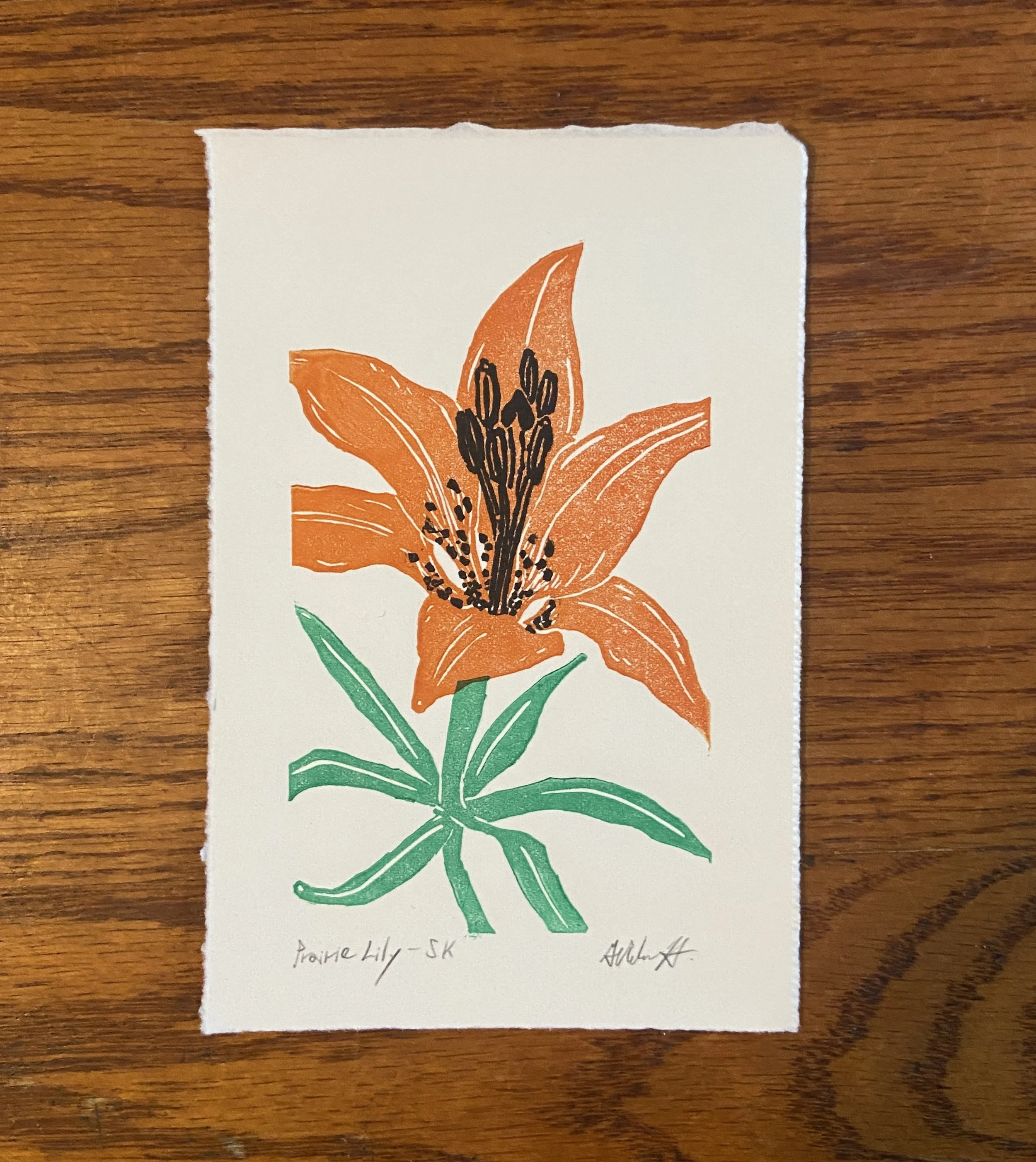 Prairie Lily.JPG