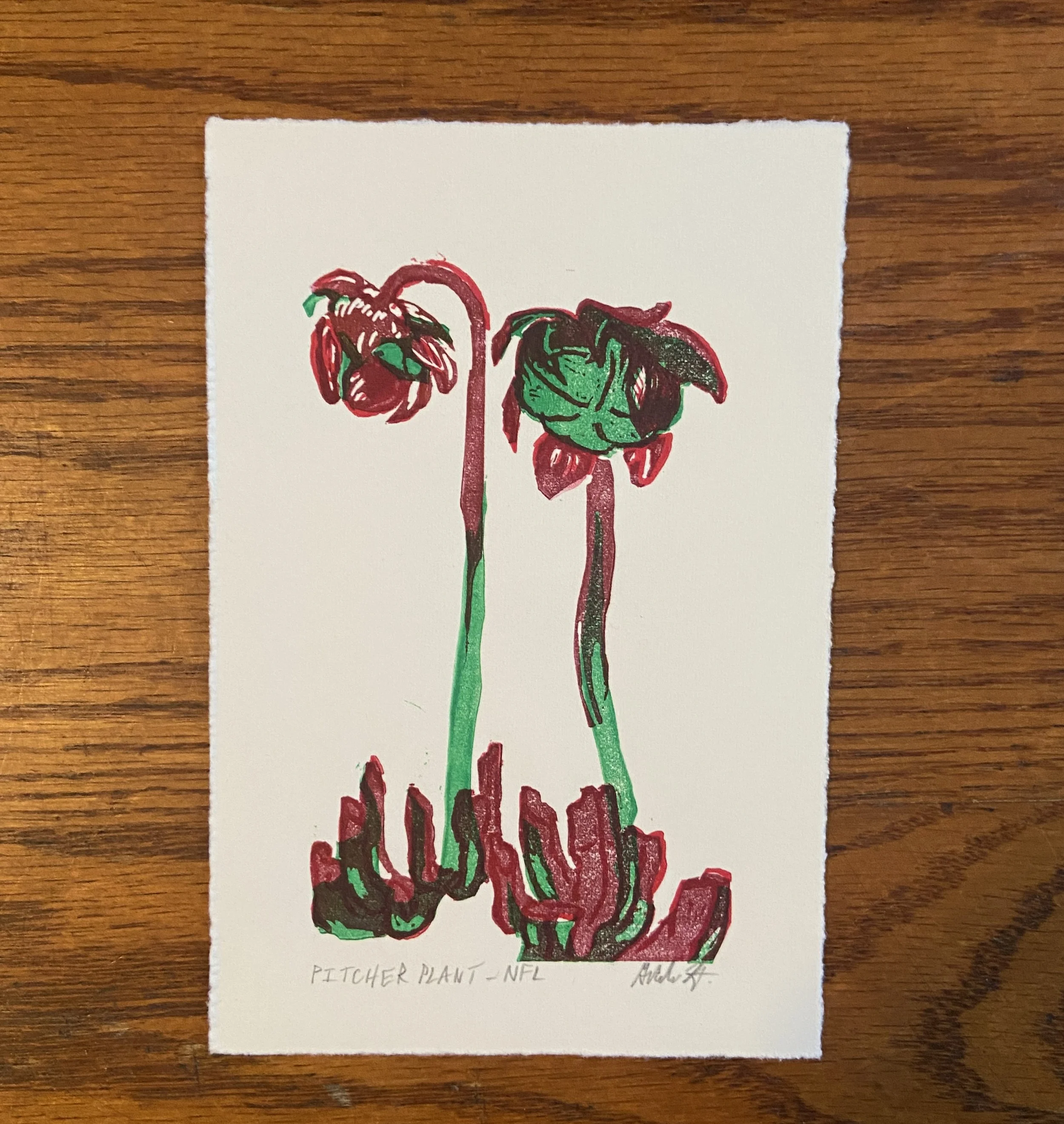 Pitcher Plant.JPG