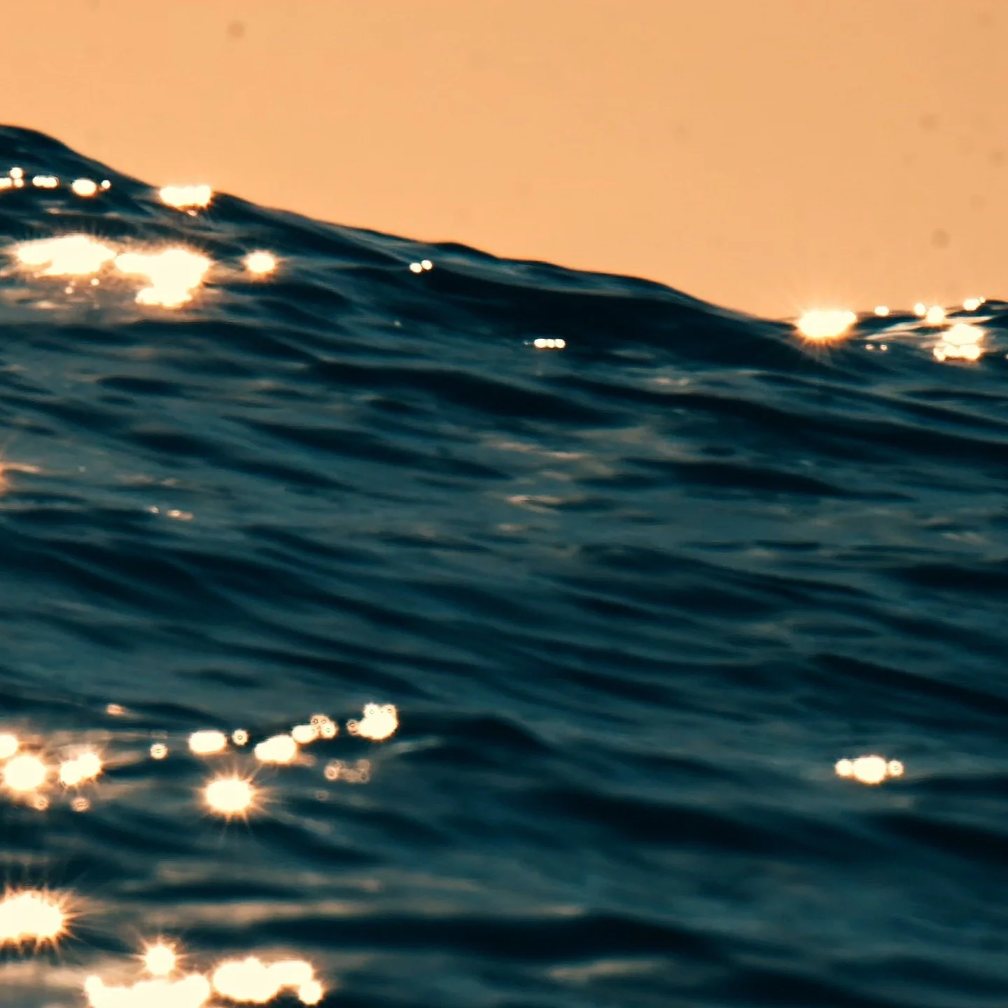 @ theonlycaviar

Branding &amp; Creative Direction

@ aaronpaul
@ ildiegosss

erikromano.com/theonly