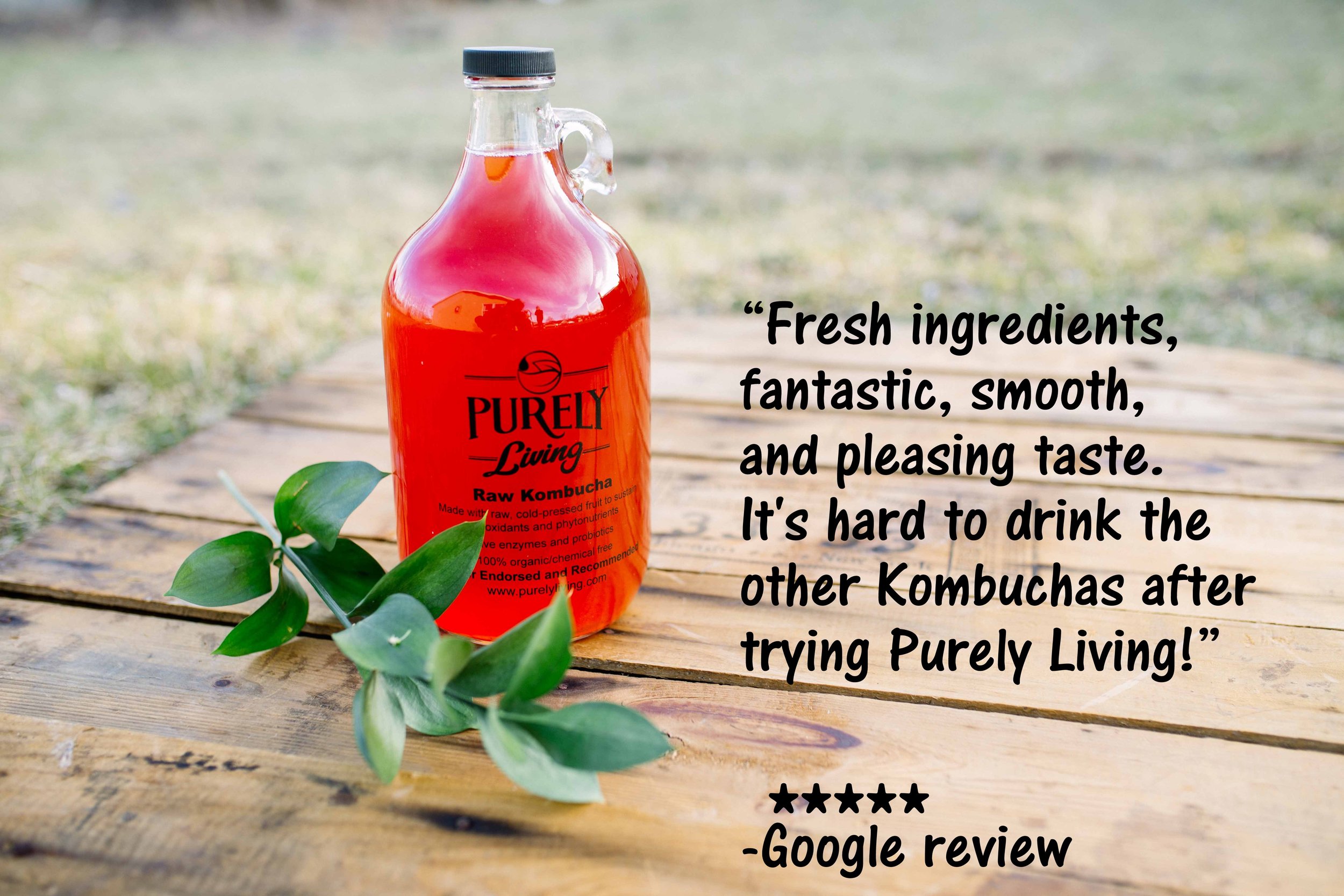 Purely Living Kombucha