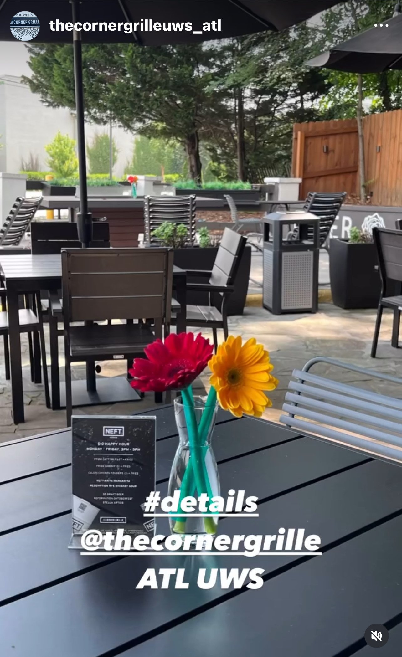 WEST SIDE PATIO.jpeg