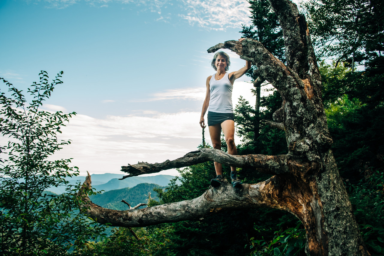 Susan Donnelly out of her comfort zone in a tree